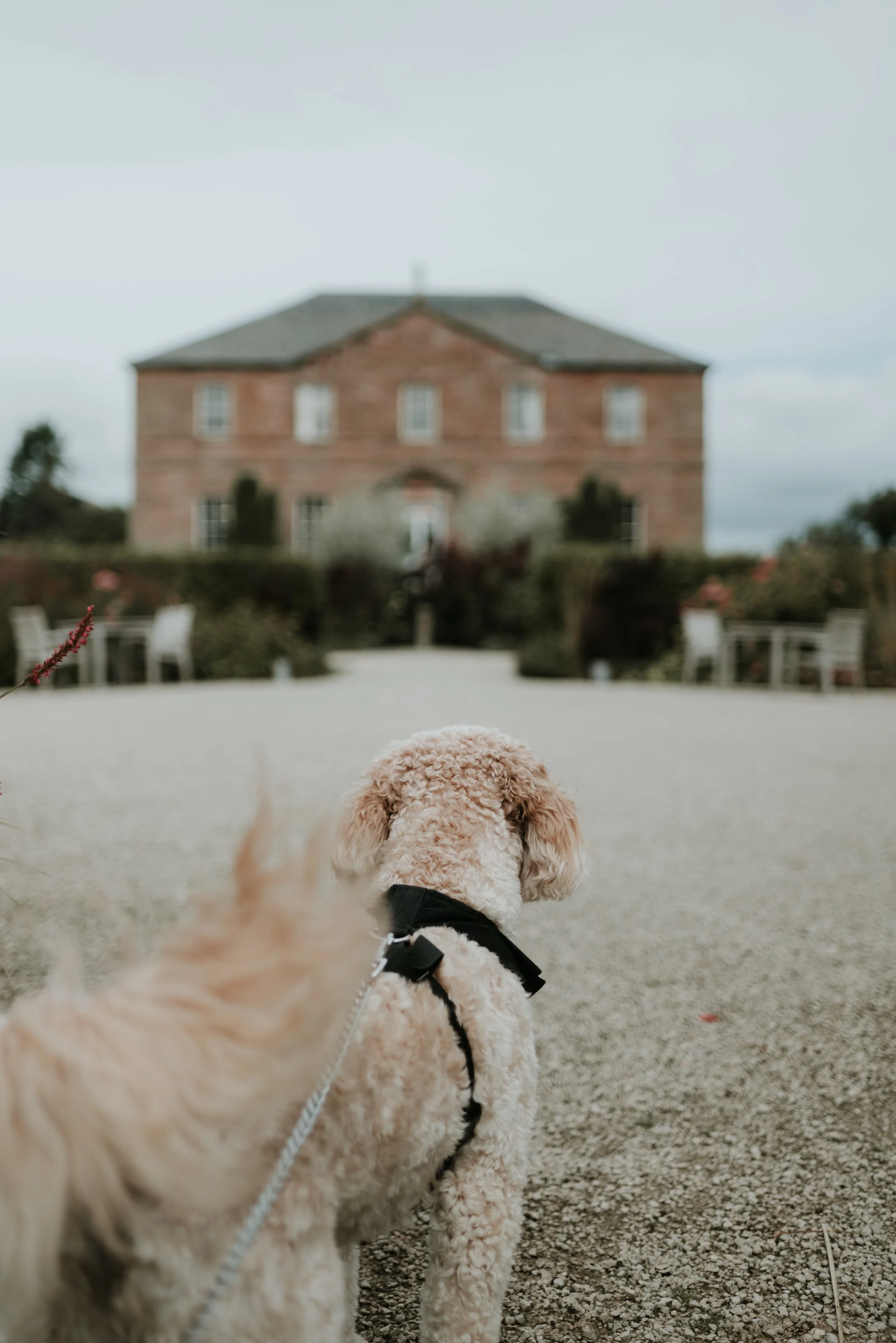 Freddy & Winnie NH-10.jpeg