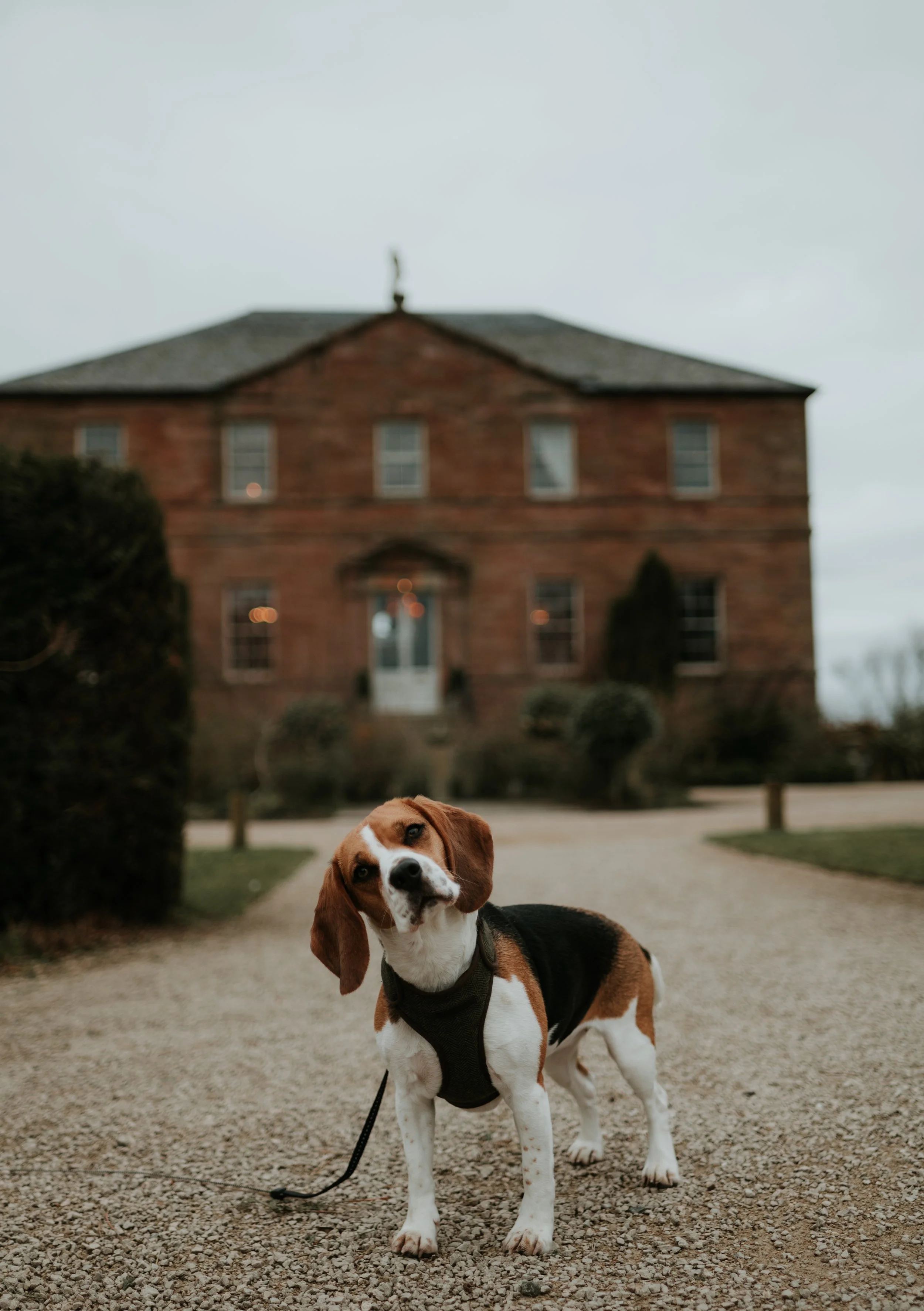 Layla NH edited_-7.jpeg