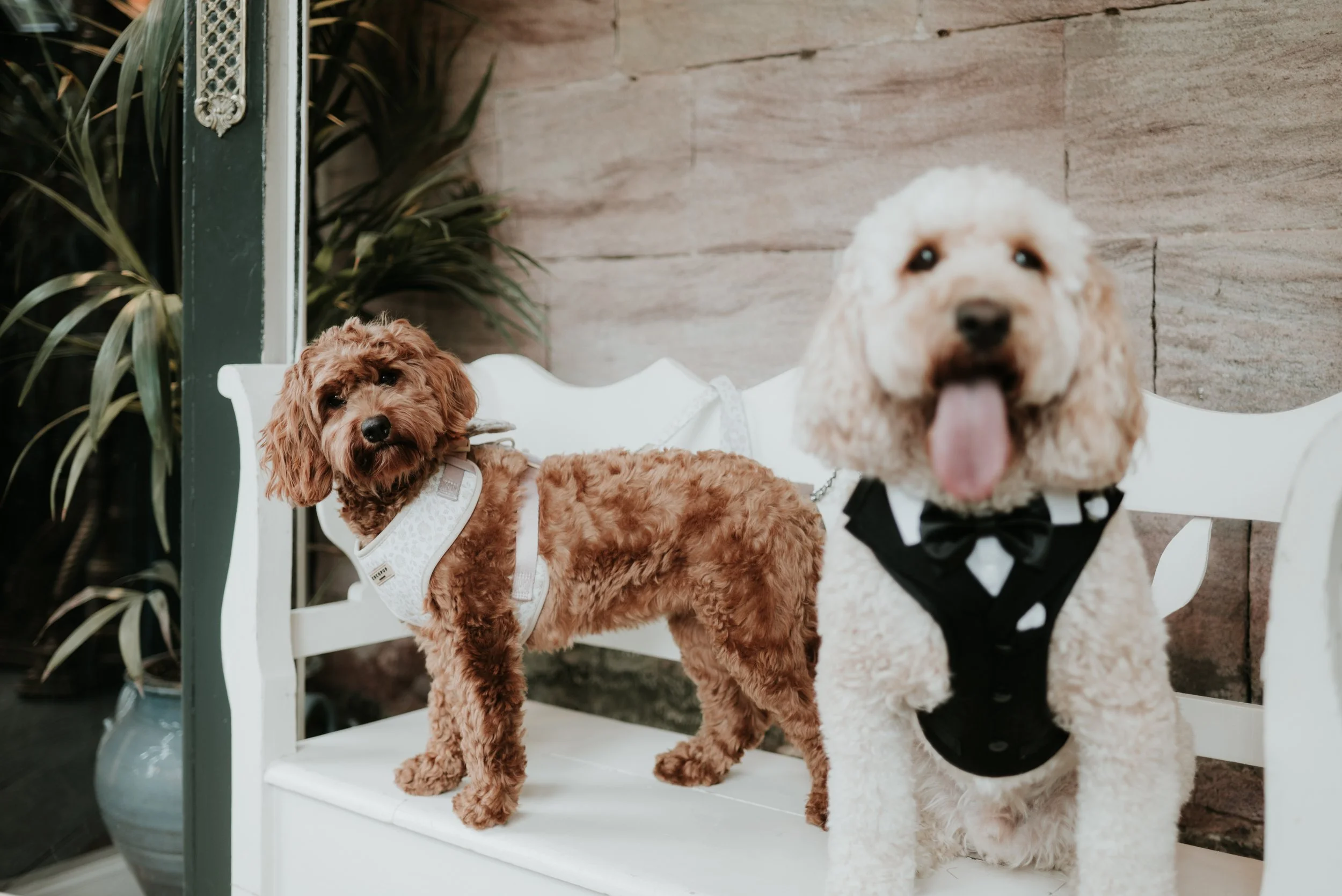 Freddy & Winnie NH-32.jpeg