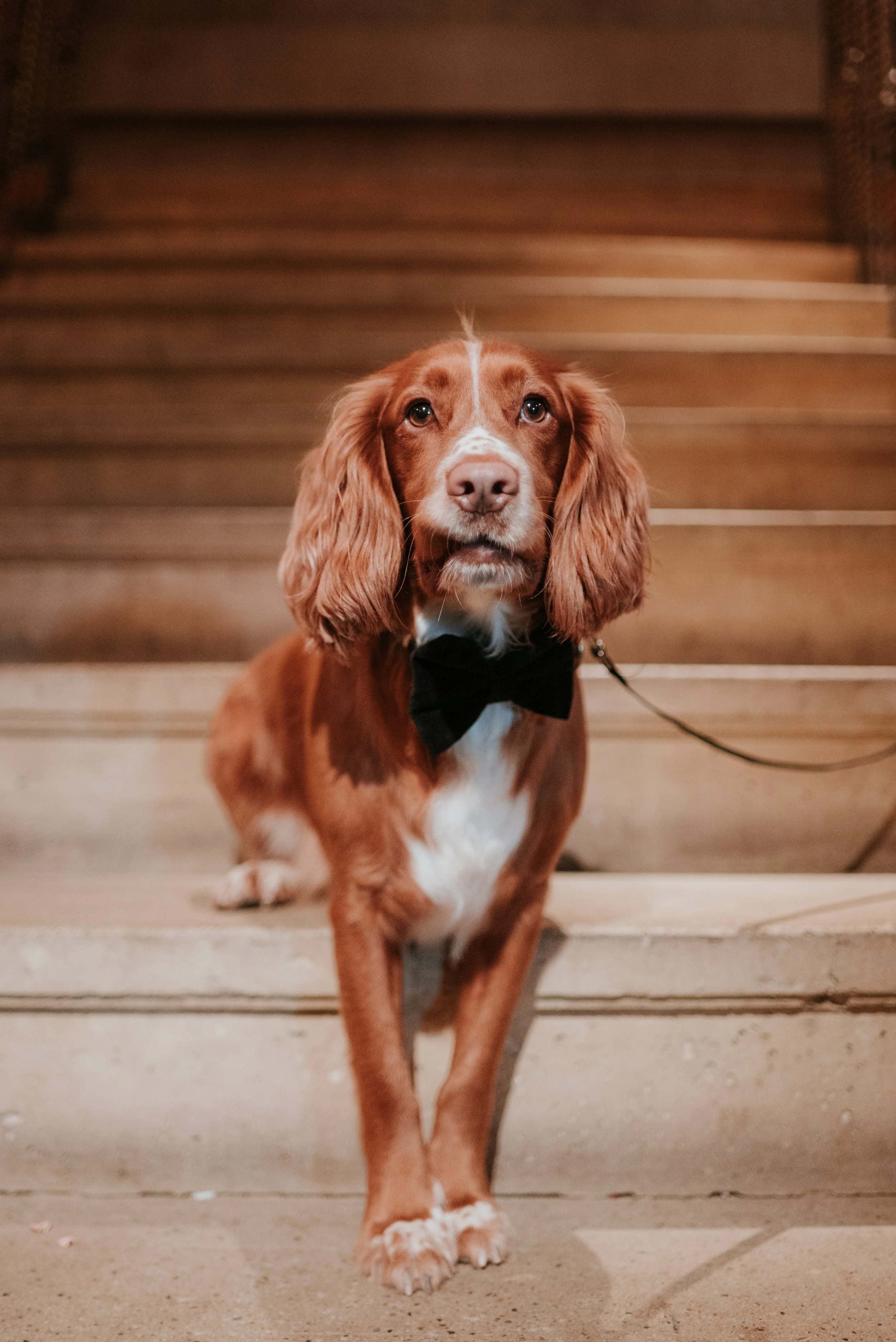 Ralph Runa Farm-50.JPG