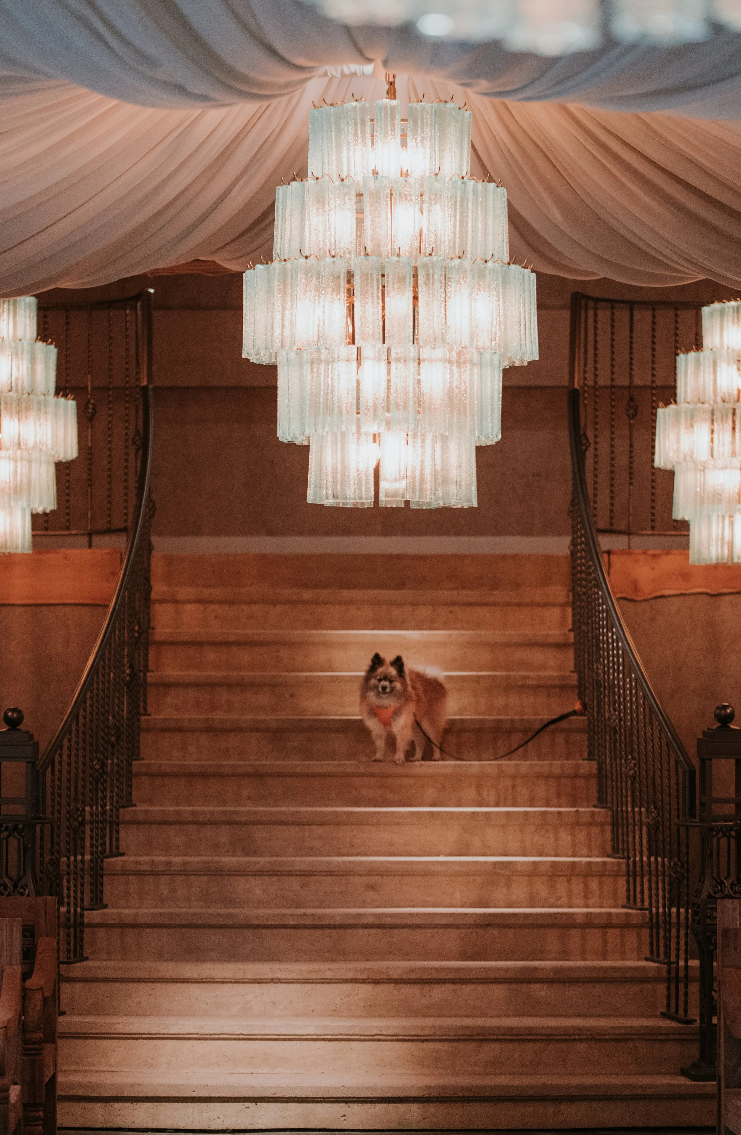 Dom pom runa fm-6.JPG