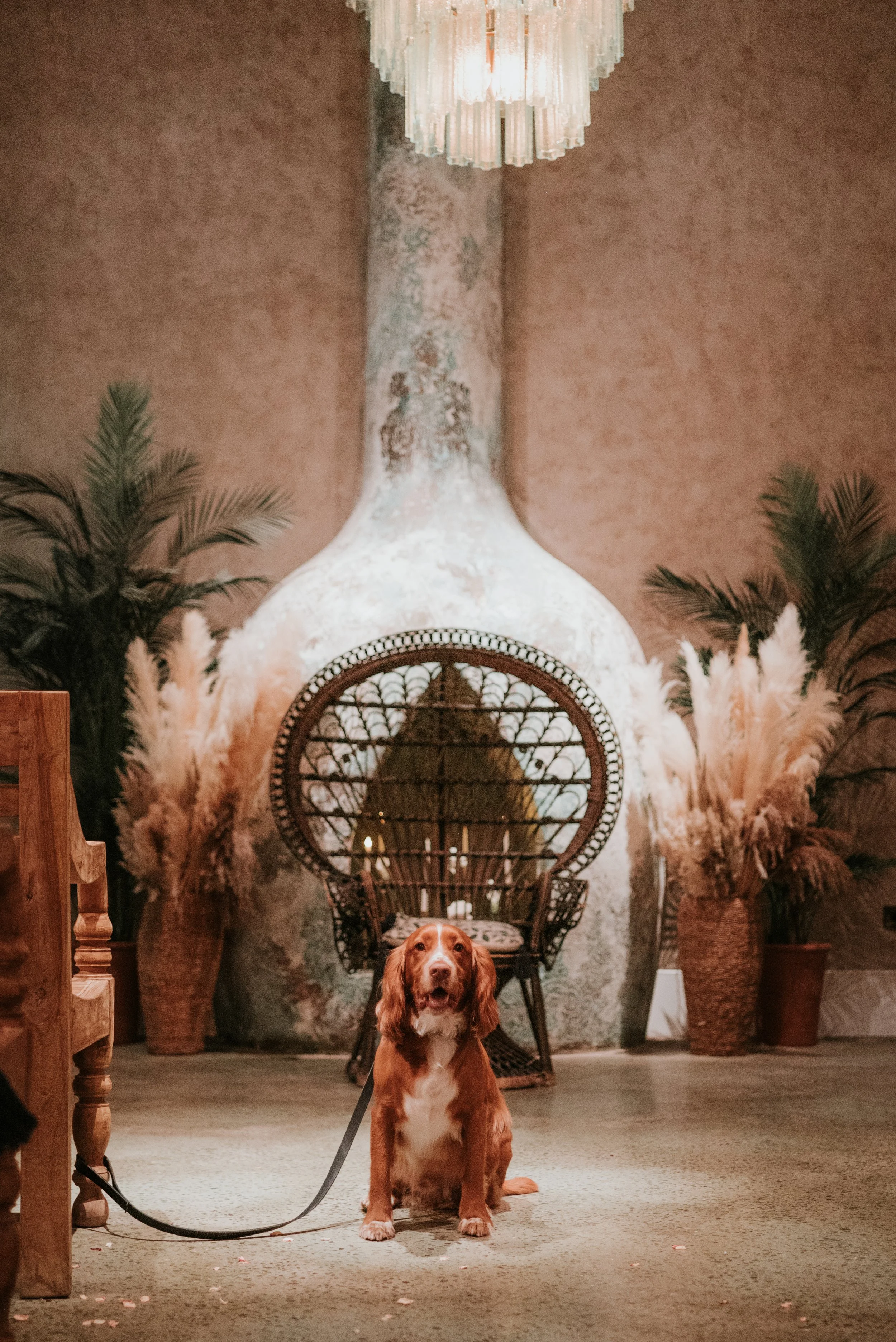 Ralph Runa Farm-41.JPG