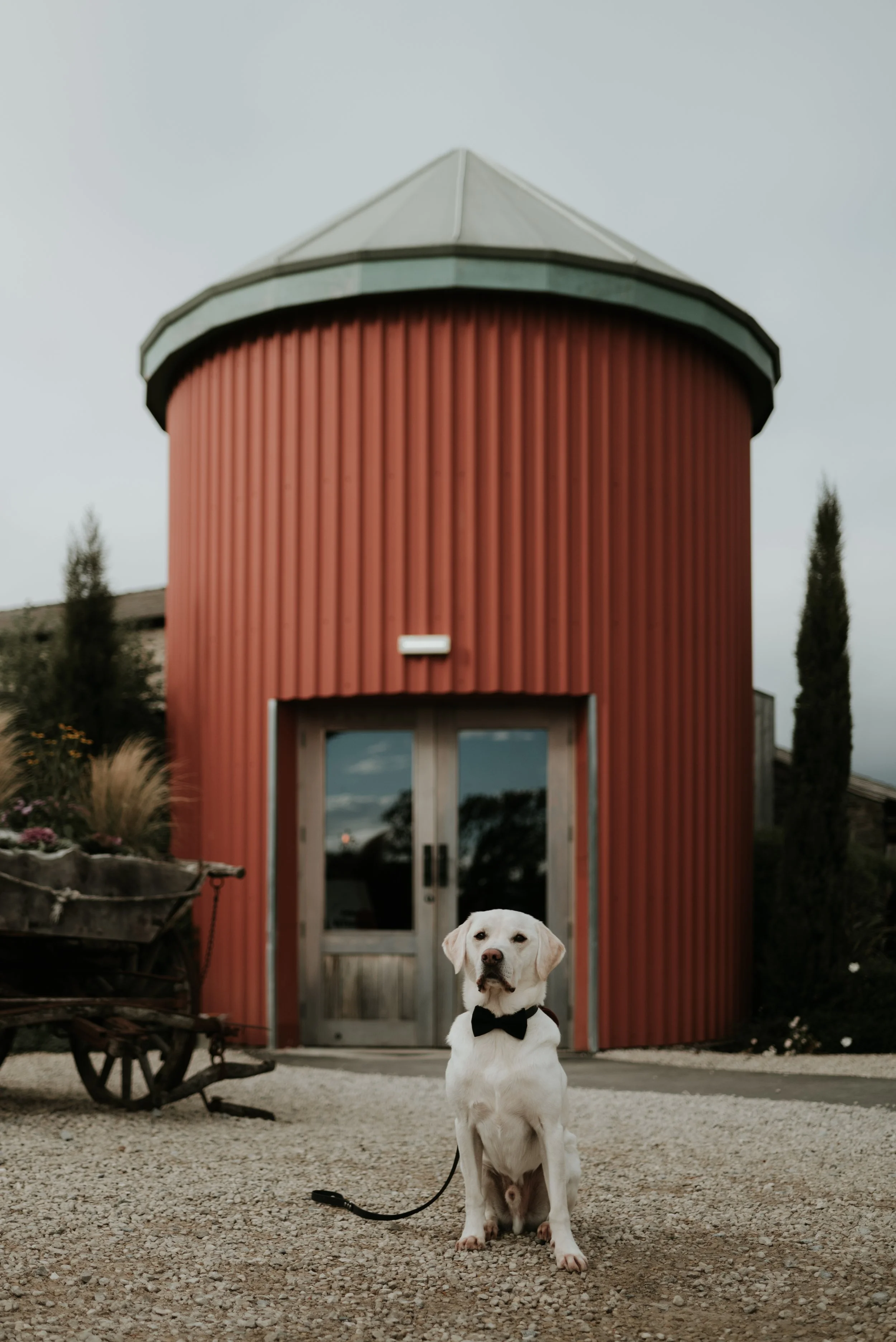 Runa Farm: The RVN Guide to a Relaxed, Modern Wedding with Your Dog