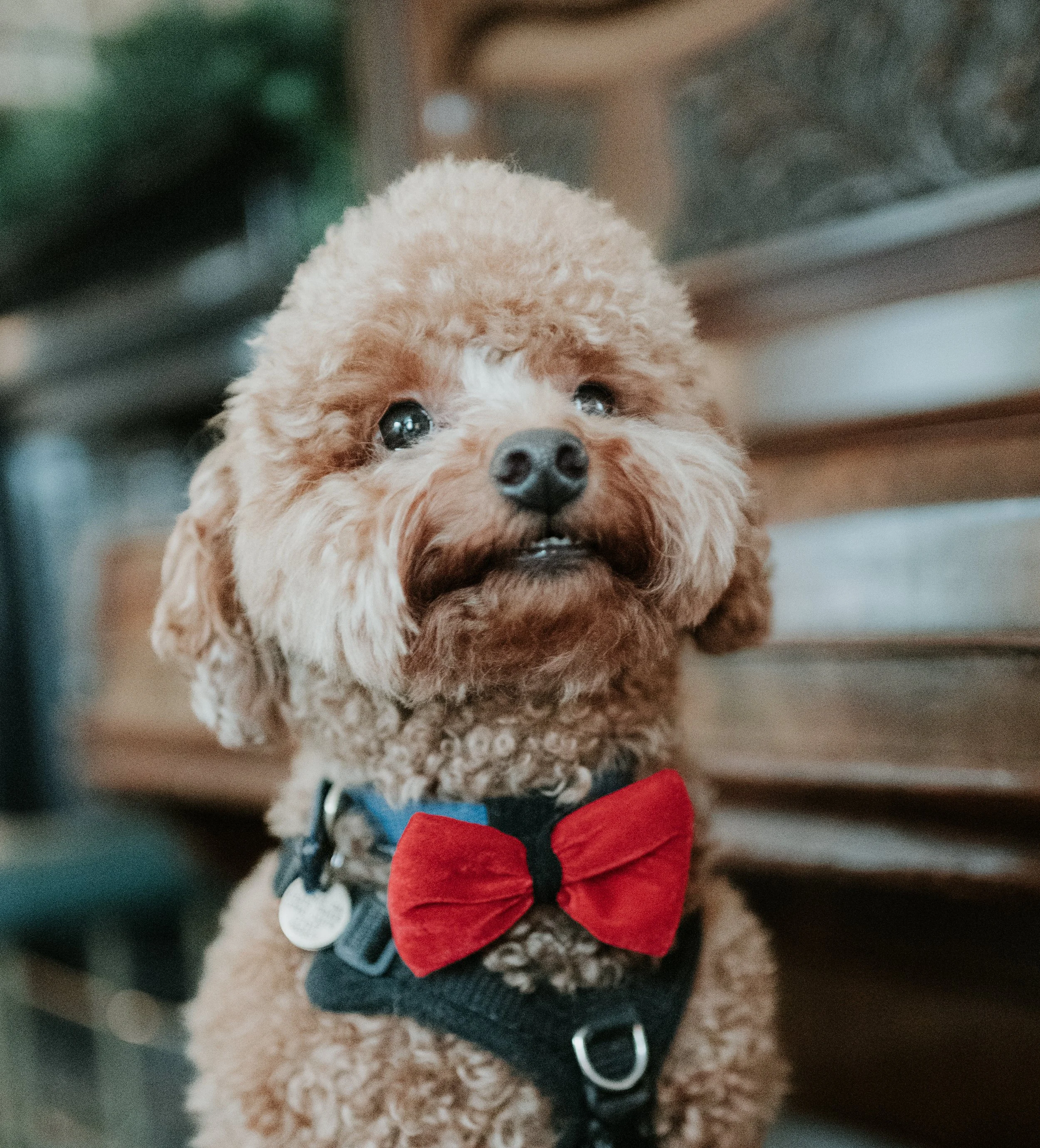 Middelton Lodge Estate 