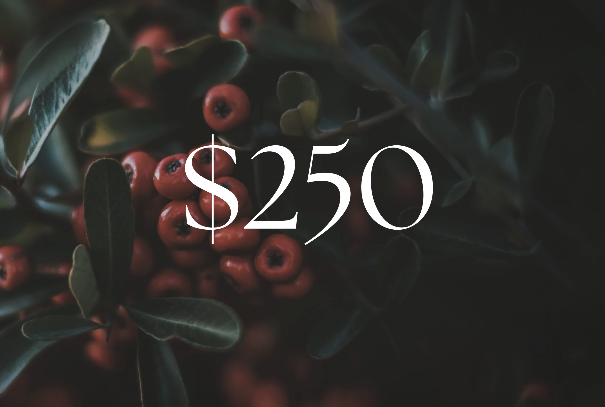 Screenshot 2025-11-29 at 11.02.37 AM.png