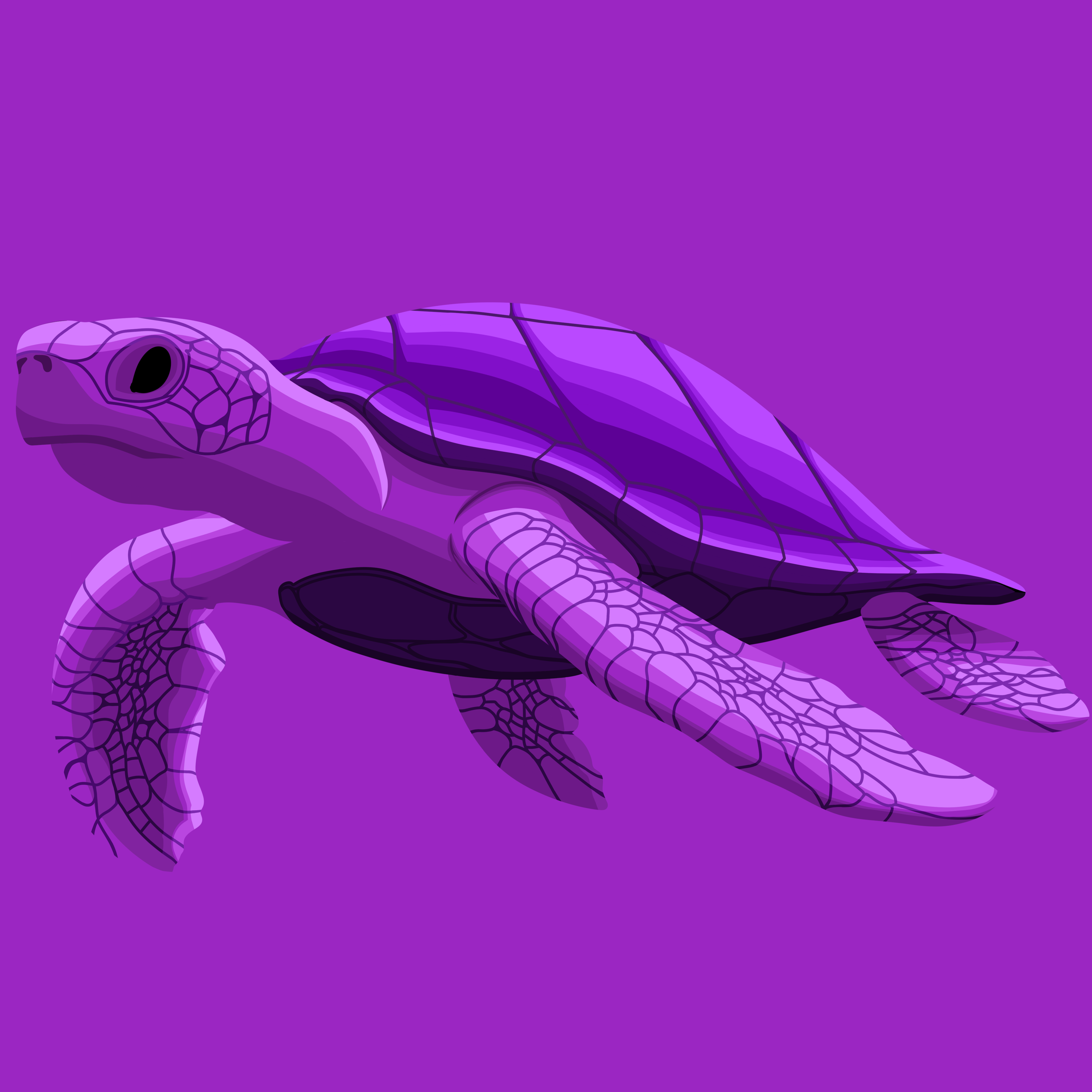 Untitled_Artwork 48.PNG