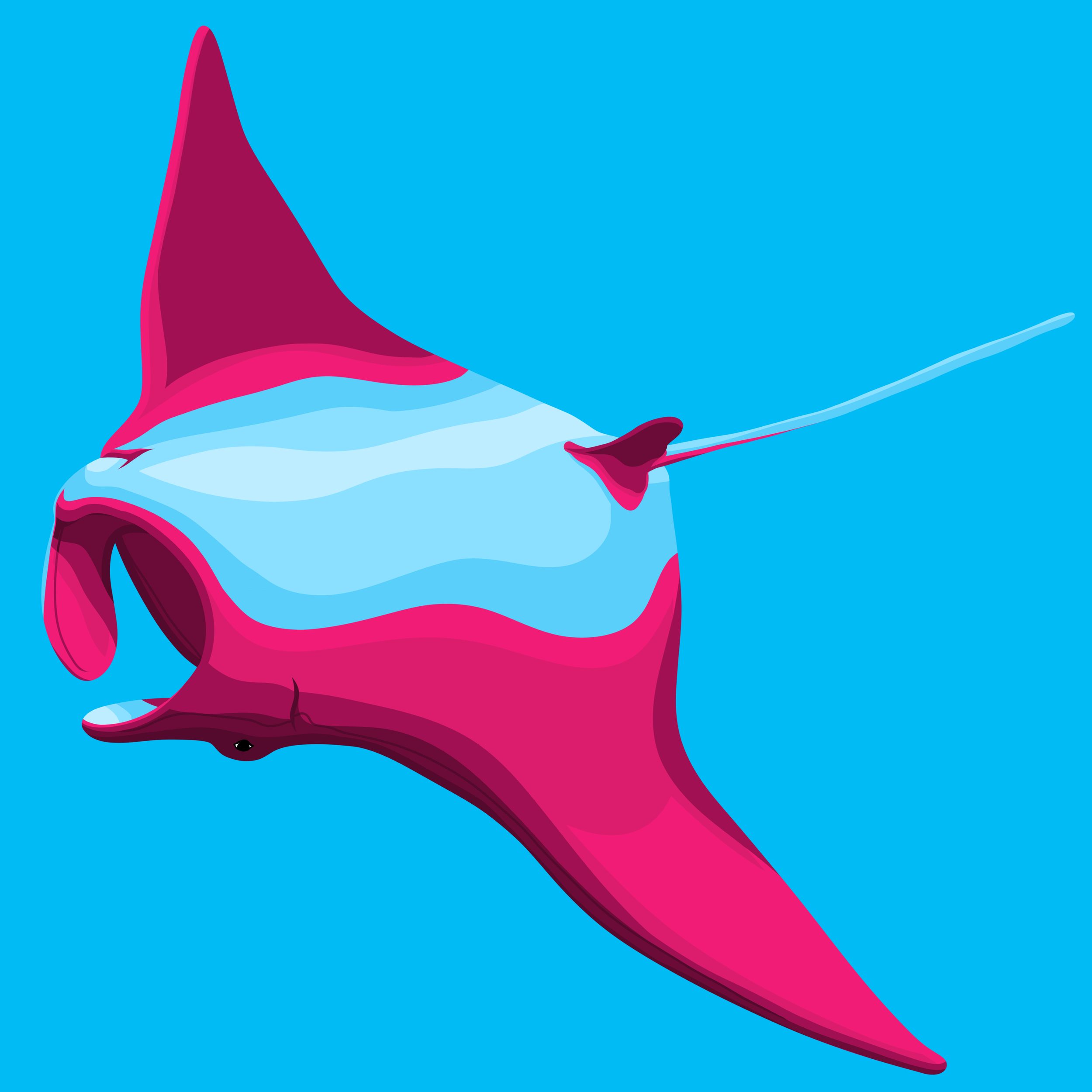 Manta_Berry 3.PNG