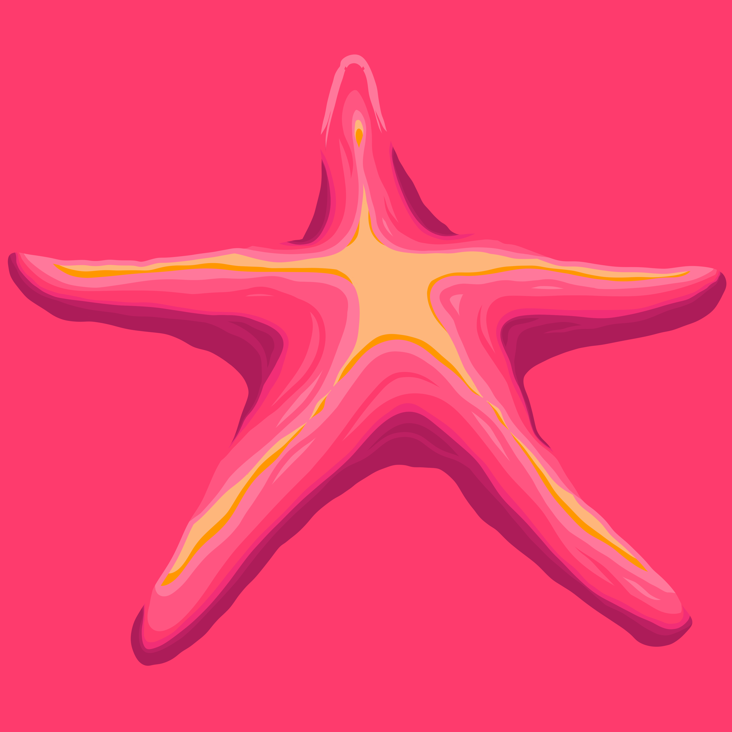 Starfish_Fruit_Twist.PNG