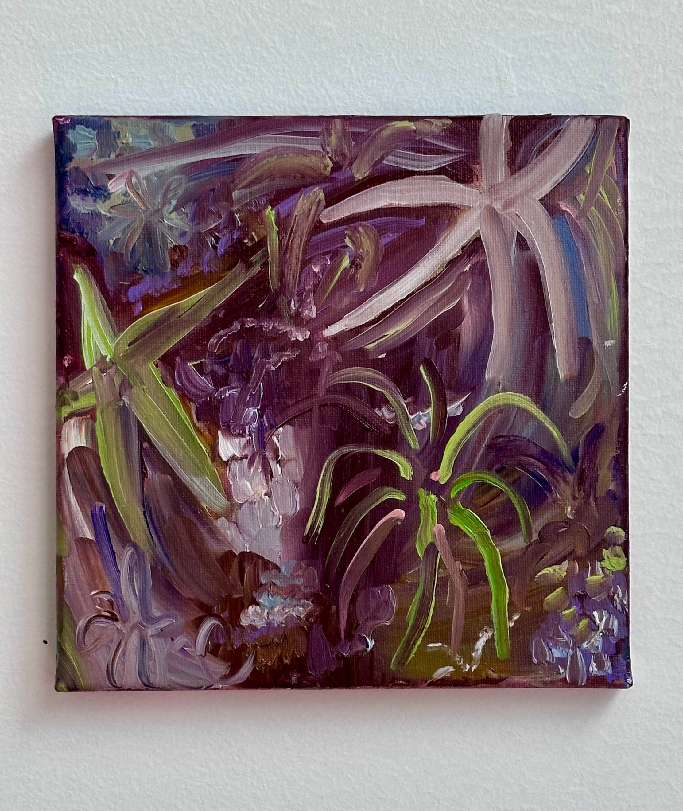 Rousseau's Garden