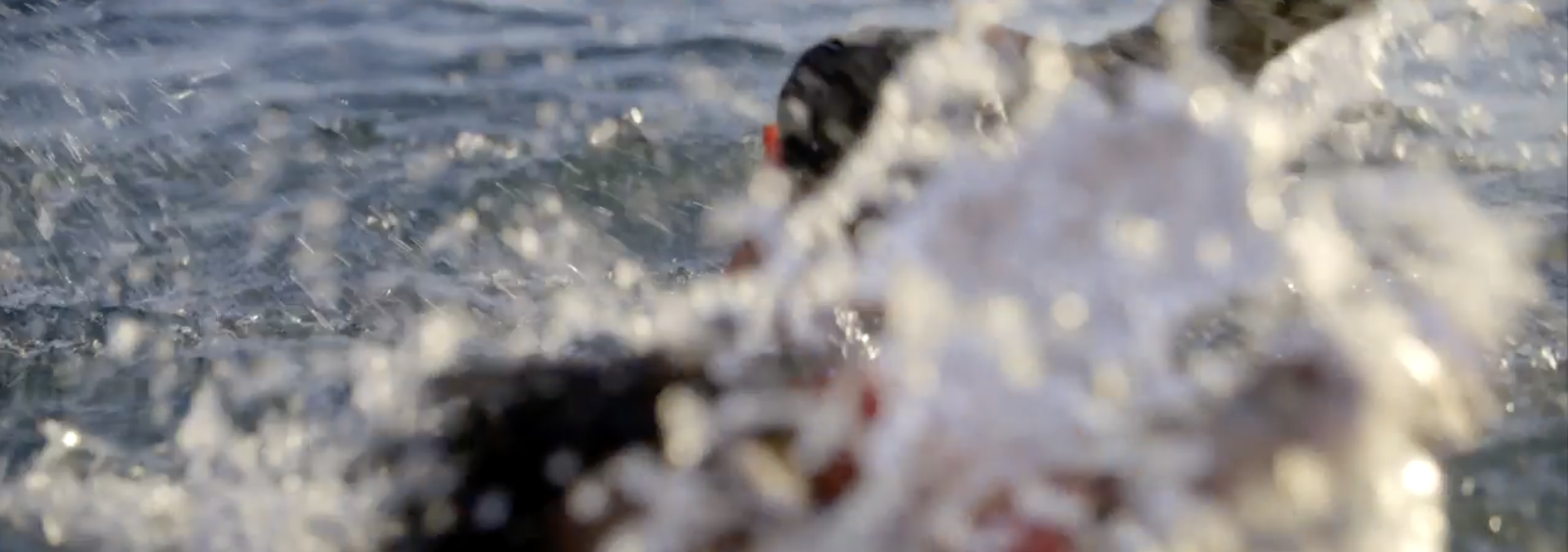 Screenshot 2026-01-19 at 2.37.27 PM.png