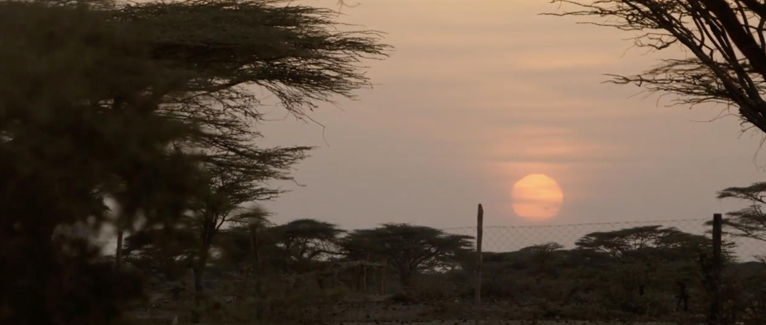 Screenshot 2026-01-19 at 2.39.49 PM.png