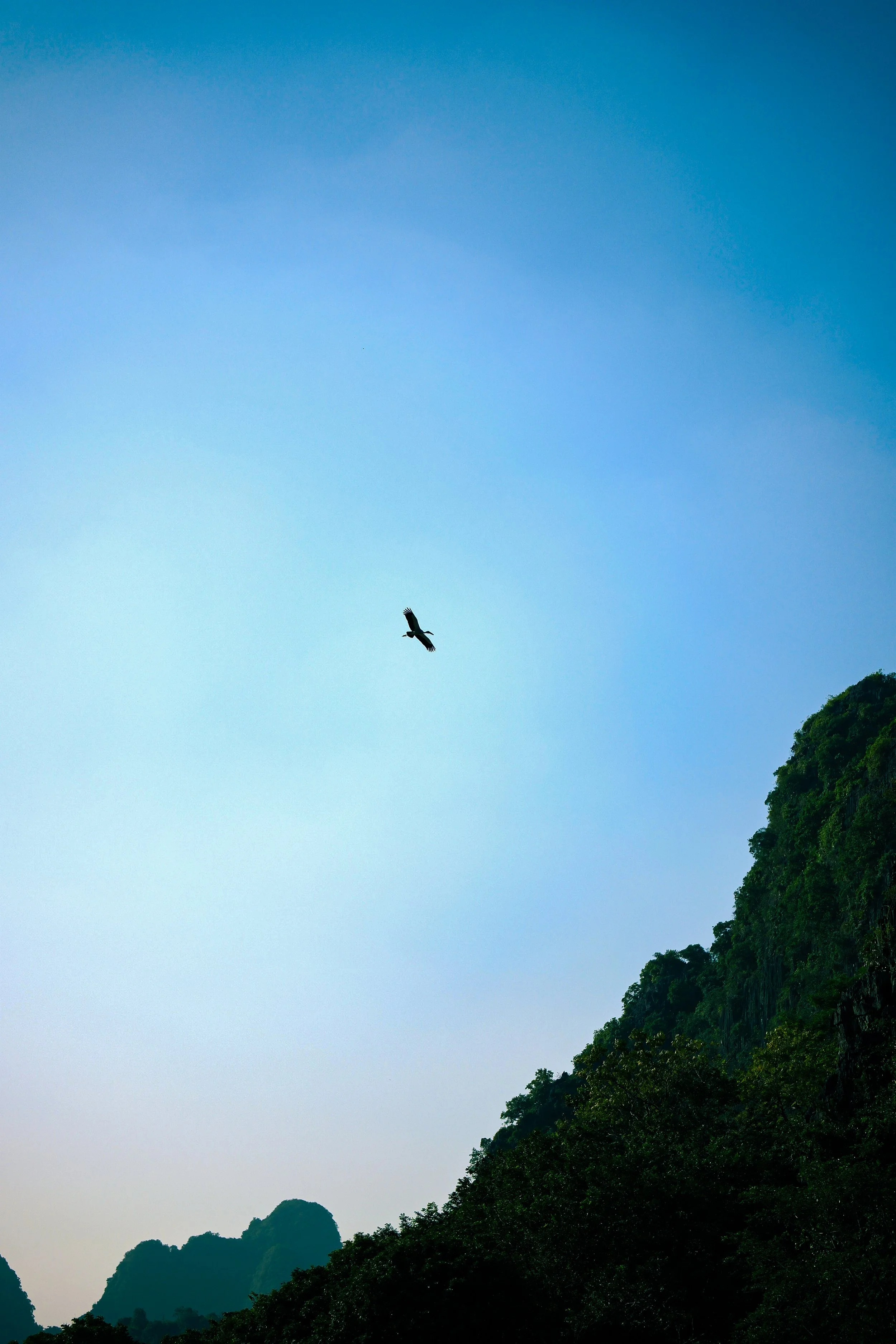 DSCF2353.JPG