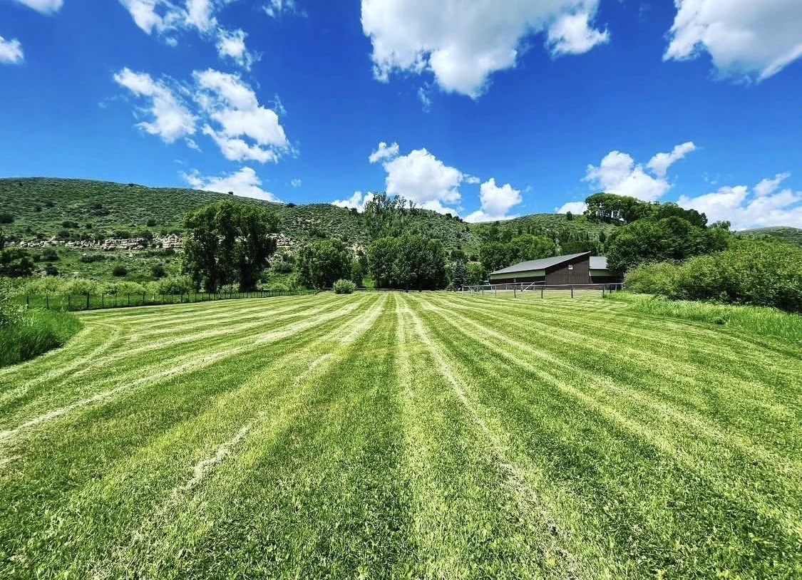 A lush green field with freshly mowed grass, surrounded by trees and hills under a bright blue sky with fluffy white clouds.