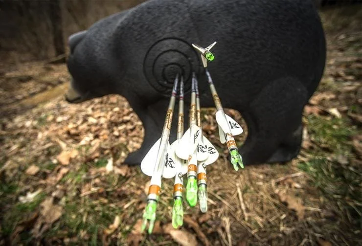 ORO 3D Archery Competition