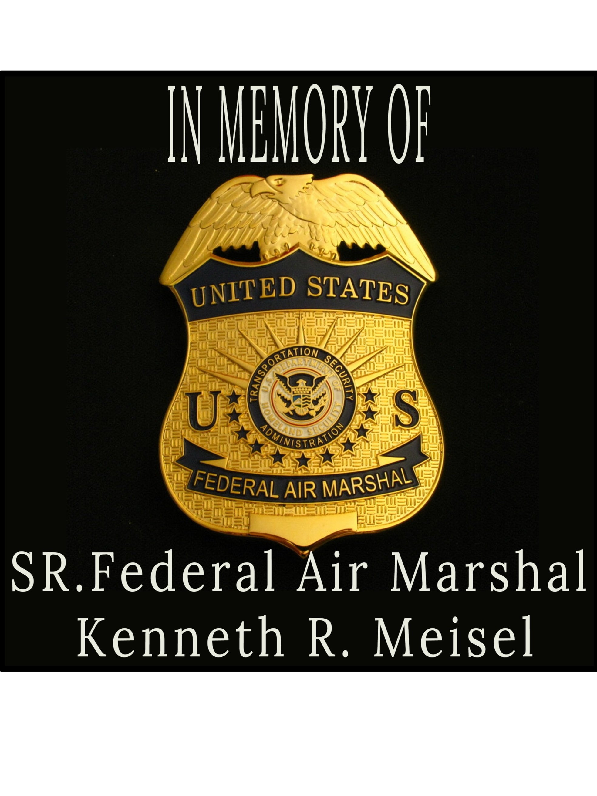 Air+Marshal+Meisel+Logo.jpg