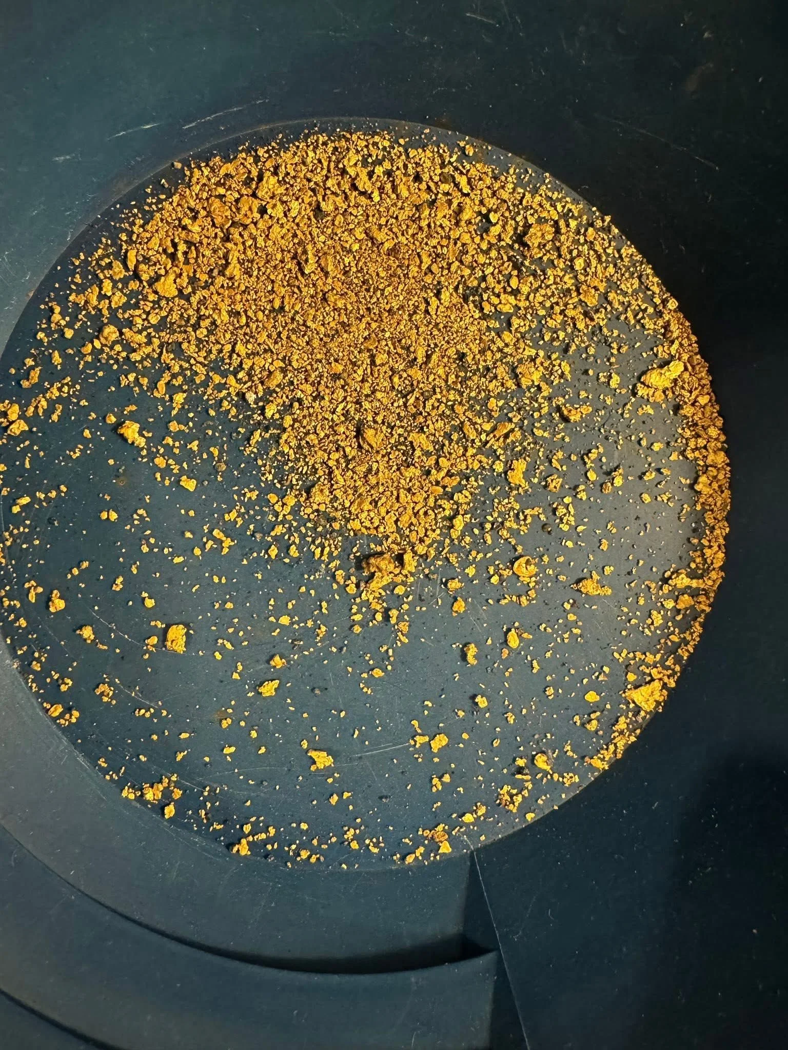 GOLD RUSH – ALASKA