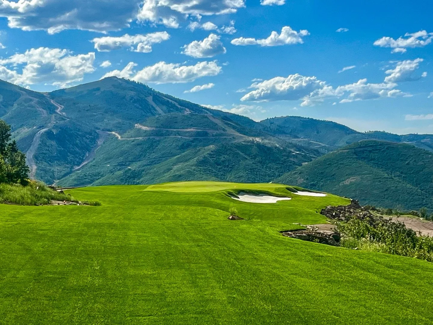 Build your stress tolerance this Spring! 

Sea Sugar (1-0-1) blends our signature molasses with magnesium sulfate and kelp to support photosynthesis and improve turgor. 🌊💪