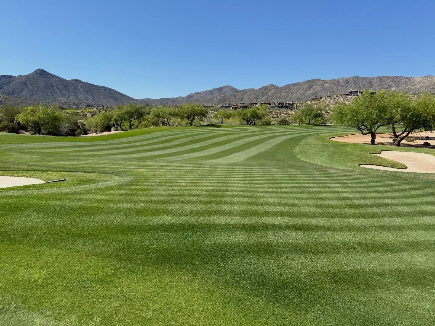 Molasses Kings Plant Juices&rsquo; are designed to fit any program! Build your foundation with 3 Kings or focus on one juice within your broader foliar/soil liquid program. 

Targeted carbohydrate delivery and maximum flexibility. Pro and Home &amp; 