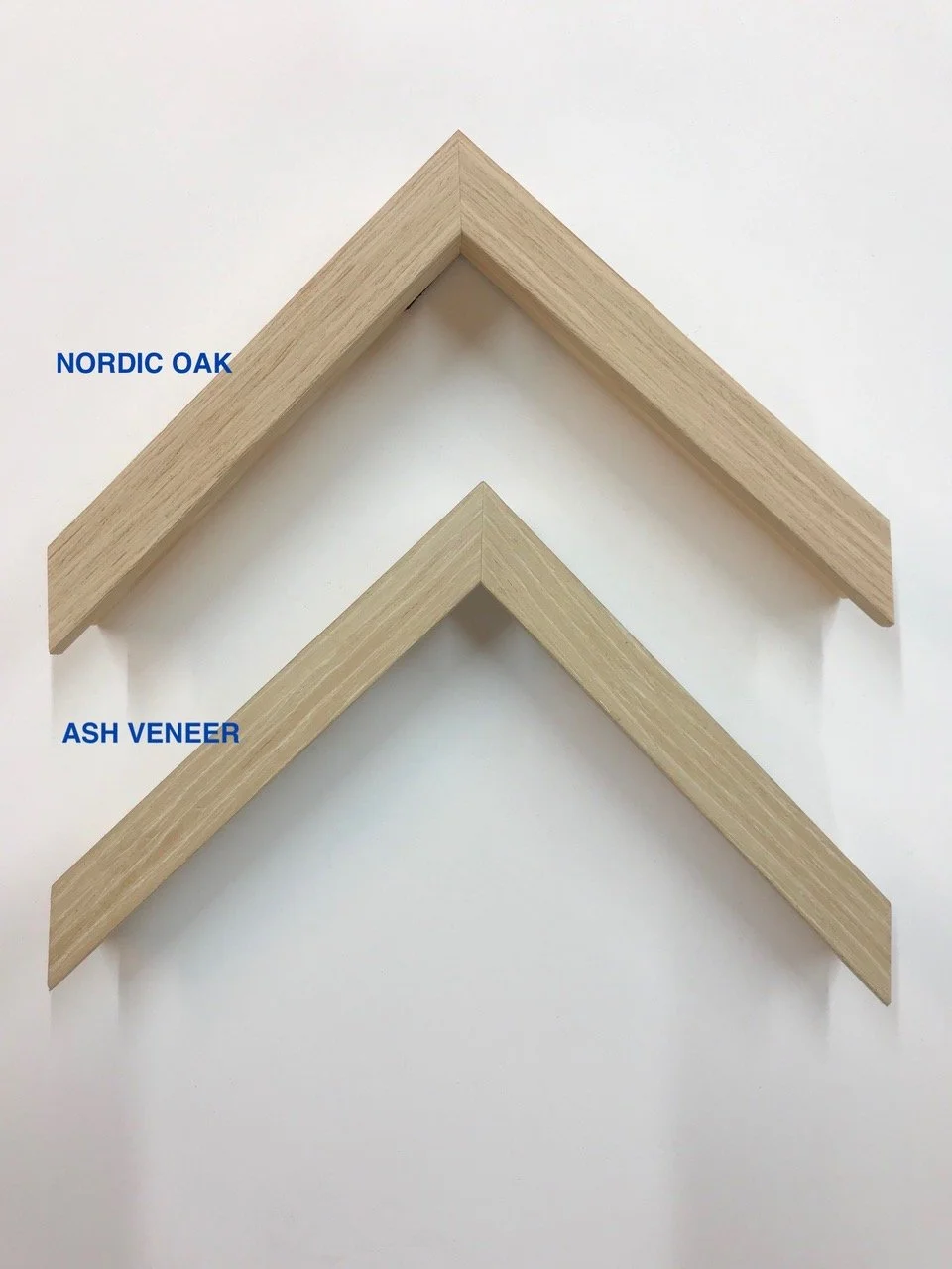 Amy Stewart Nordic 2.jpeg