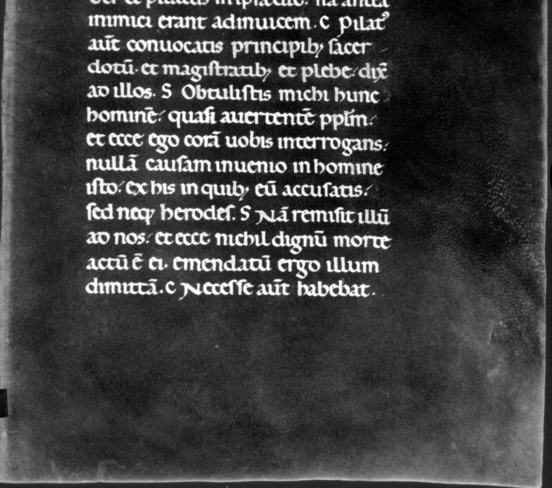 lectionary bottom MNF.png