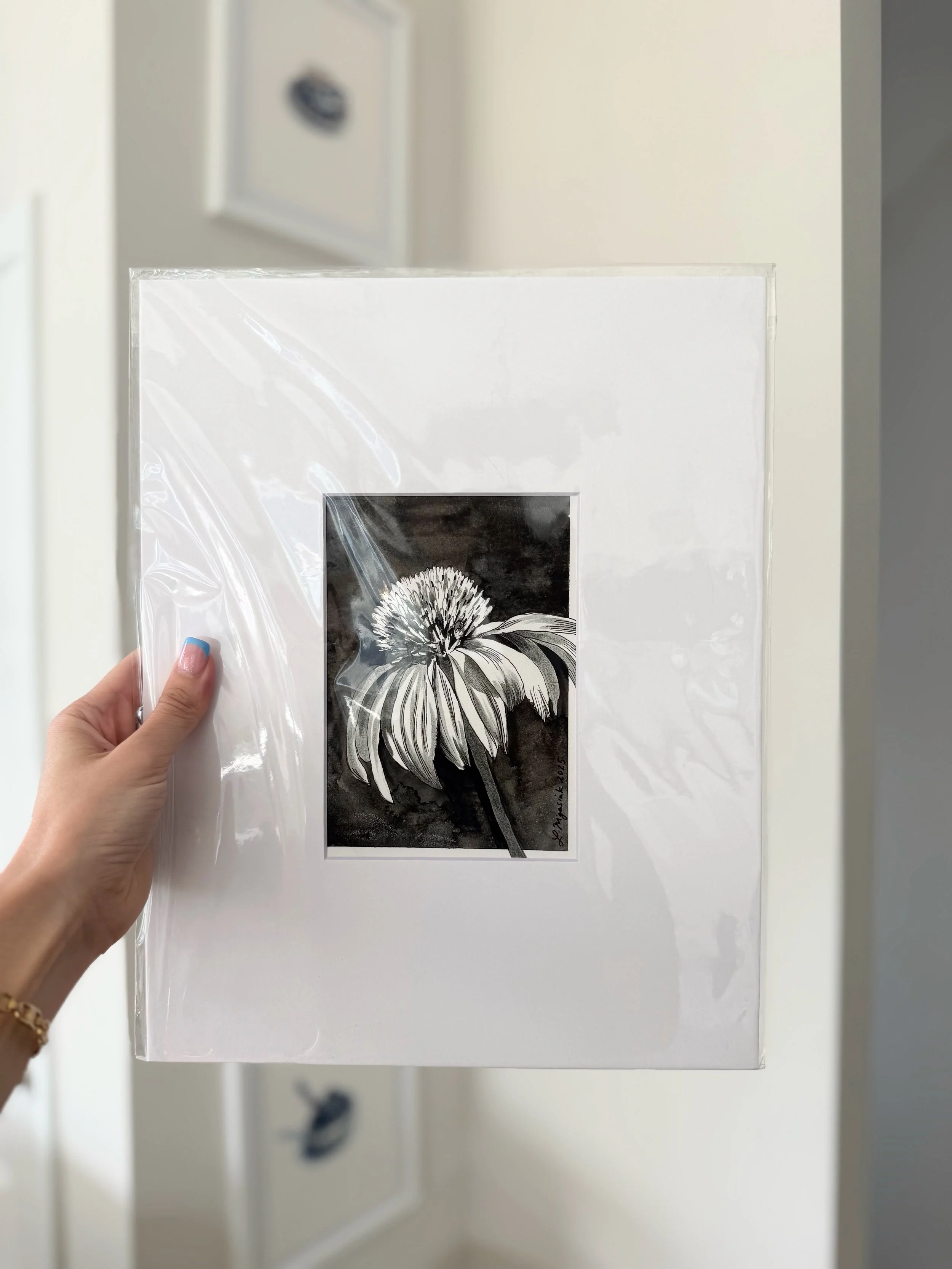 Ink Coneflower.jpeg