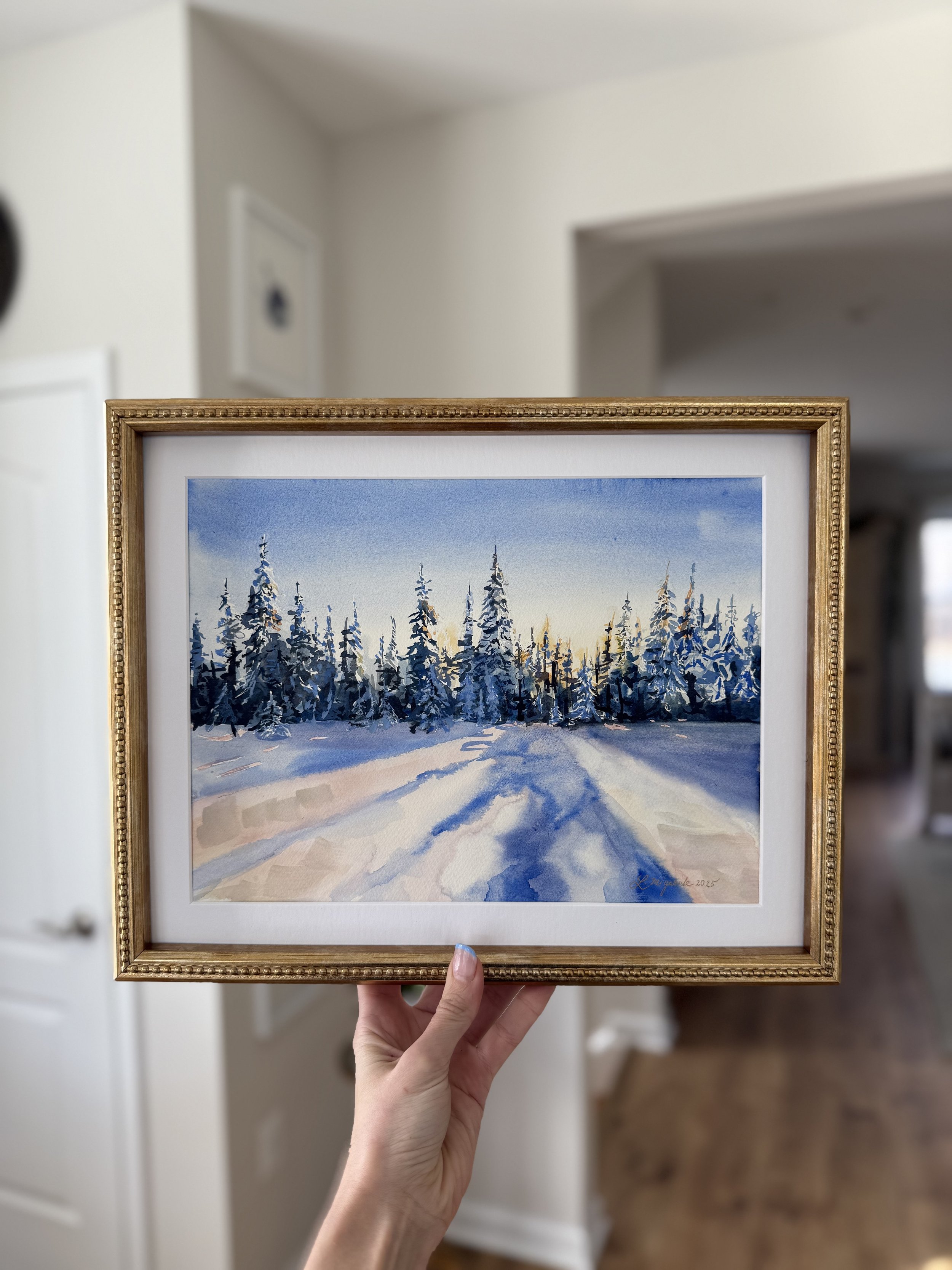 Snow Kissed Pines.JPG