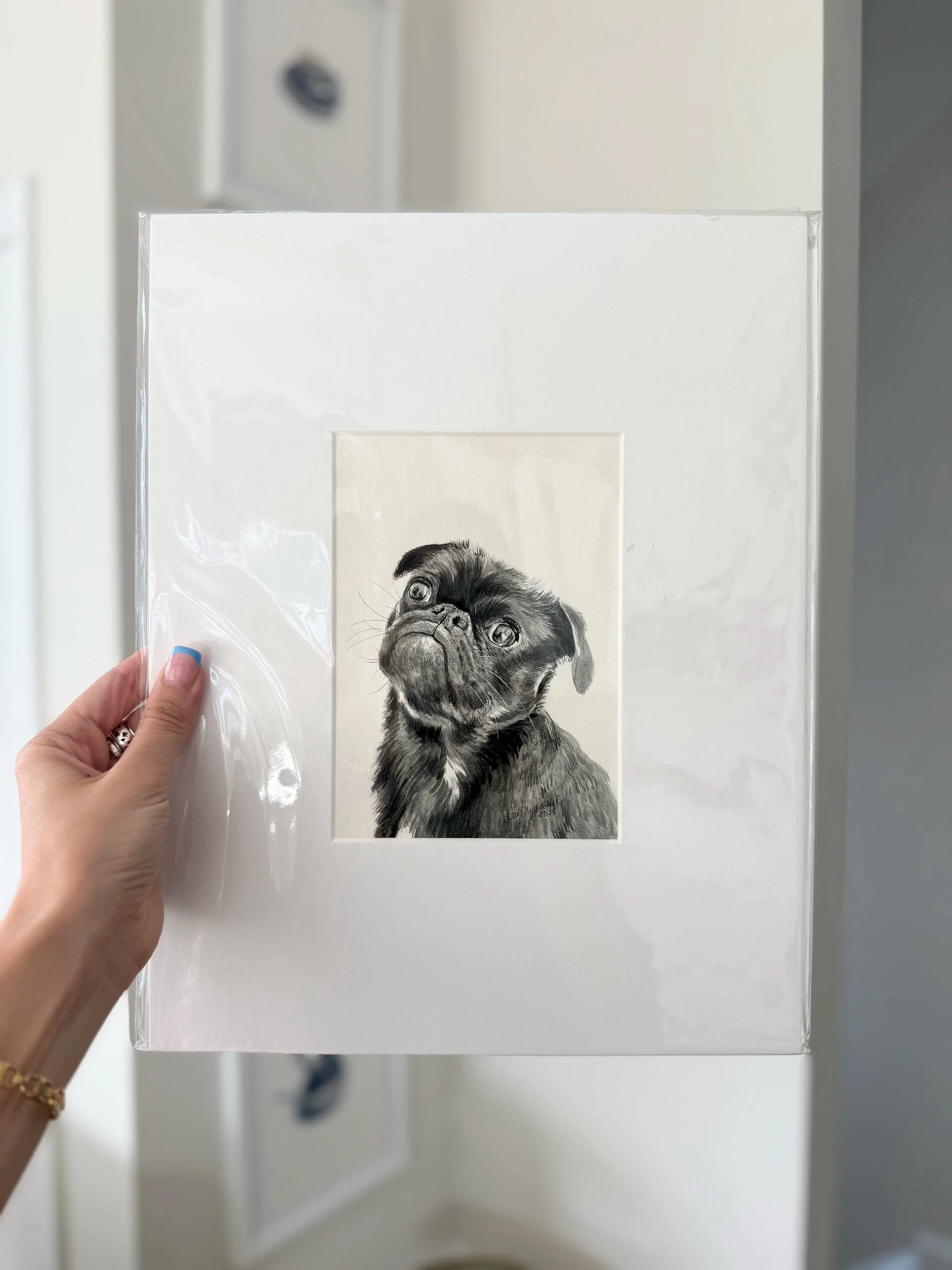 Why the pug face?.jpeg