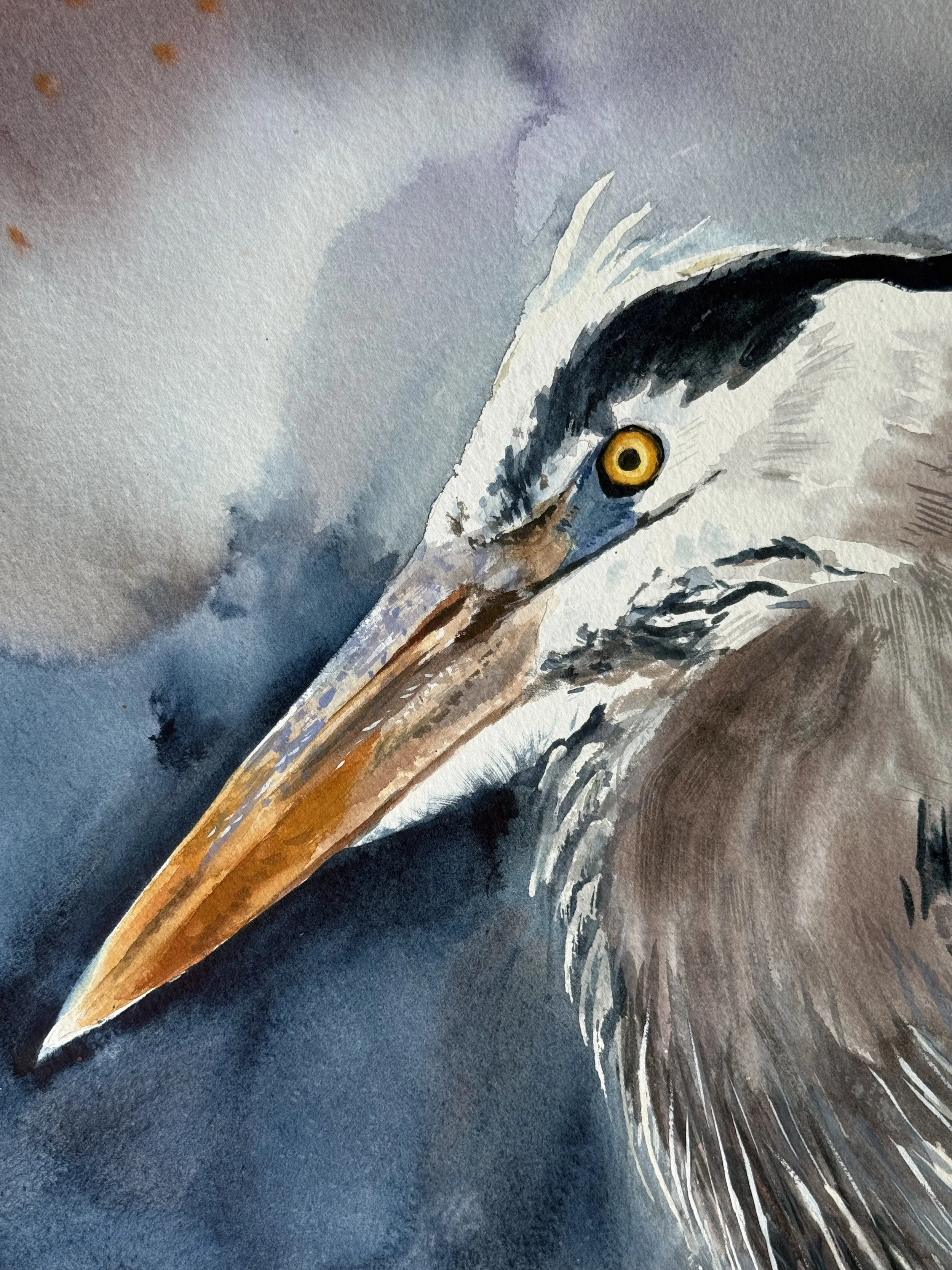 Misty Plume Close up.JPG