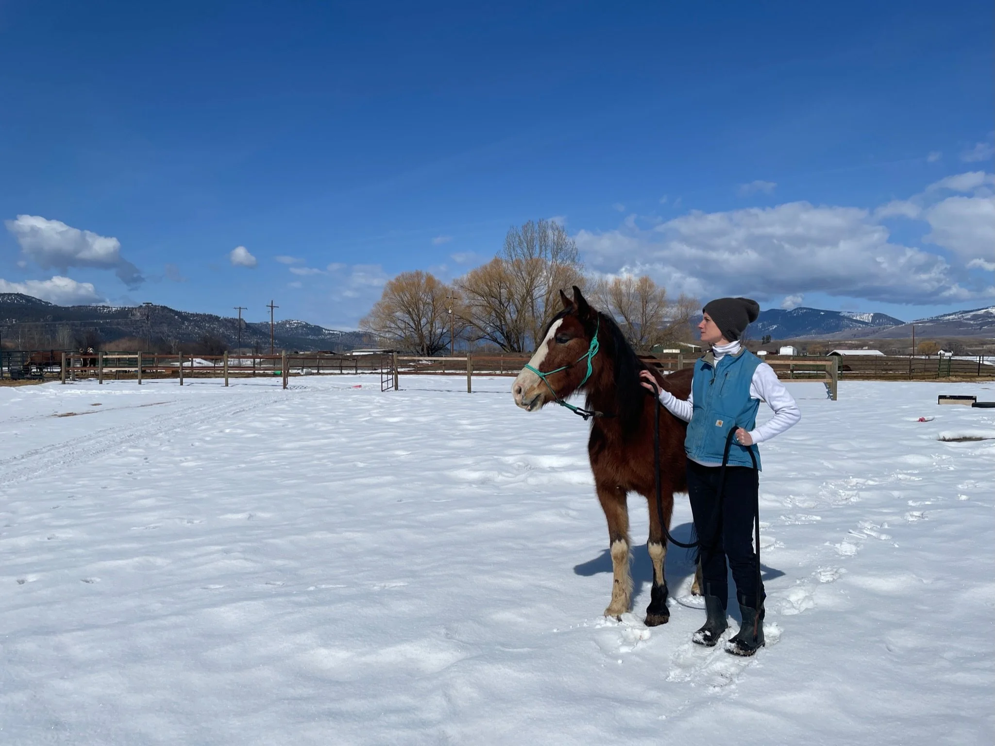 A Horse Called Tomorrow