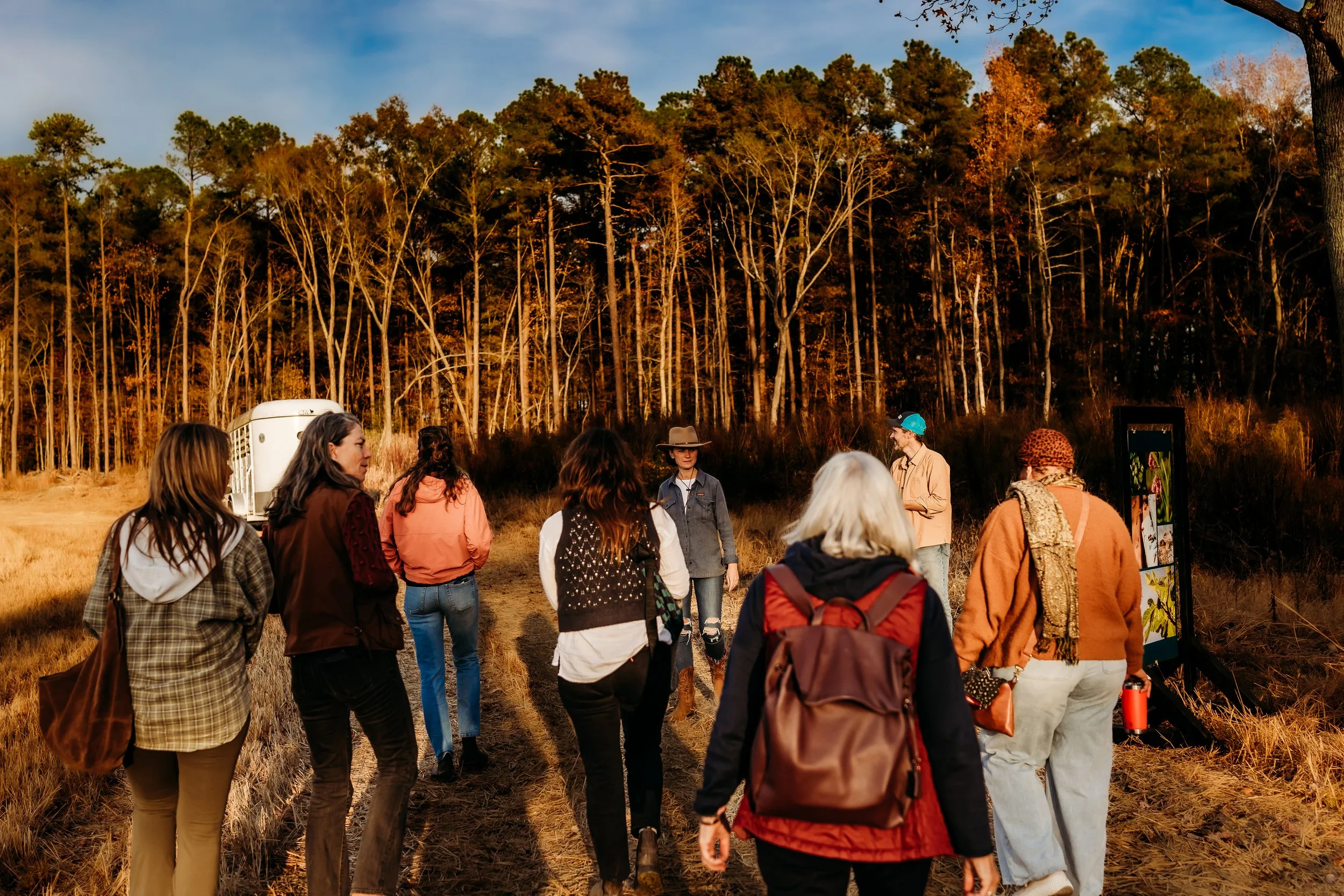 Falling in Love with the Future.