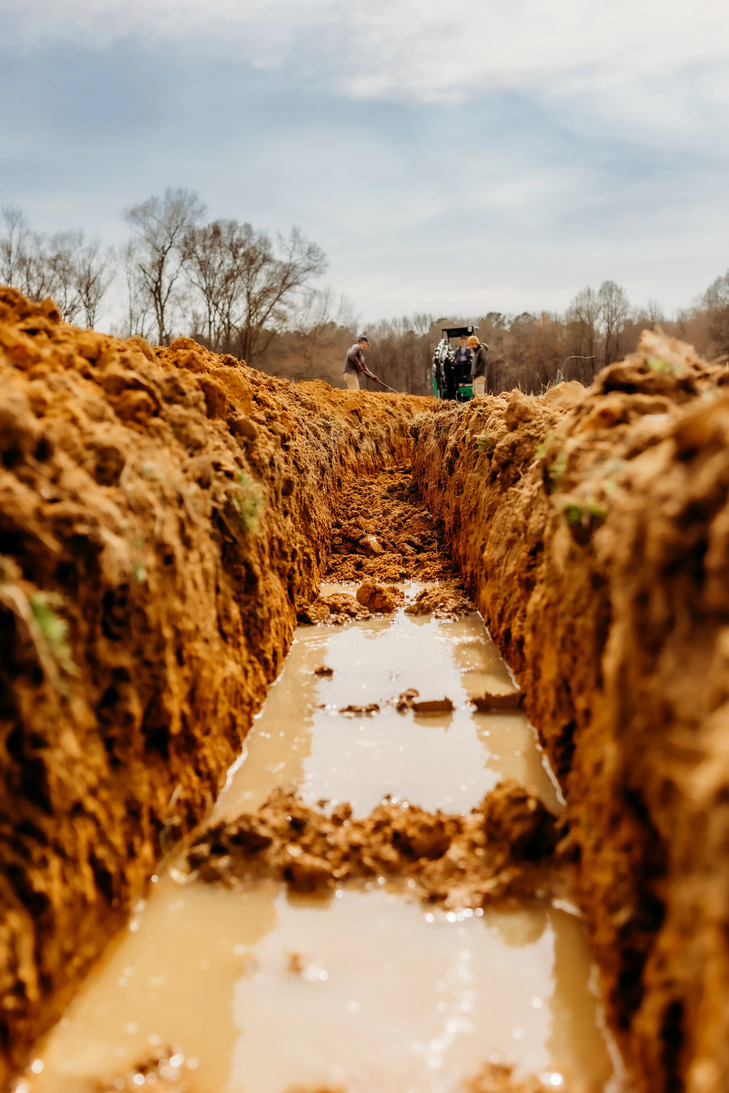 Contour Lines 15.jpg