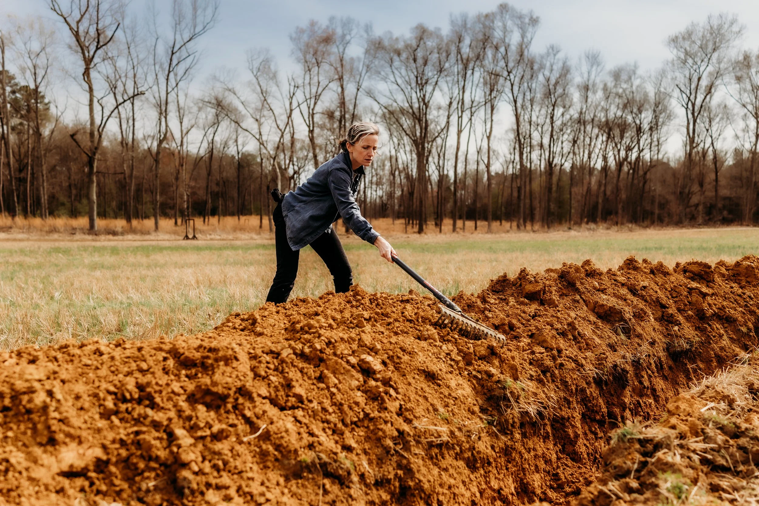 Contour Lines 17.jpg