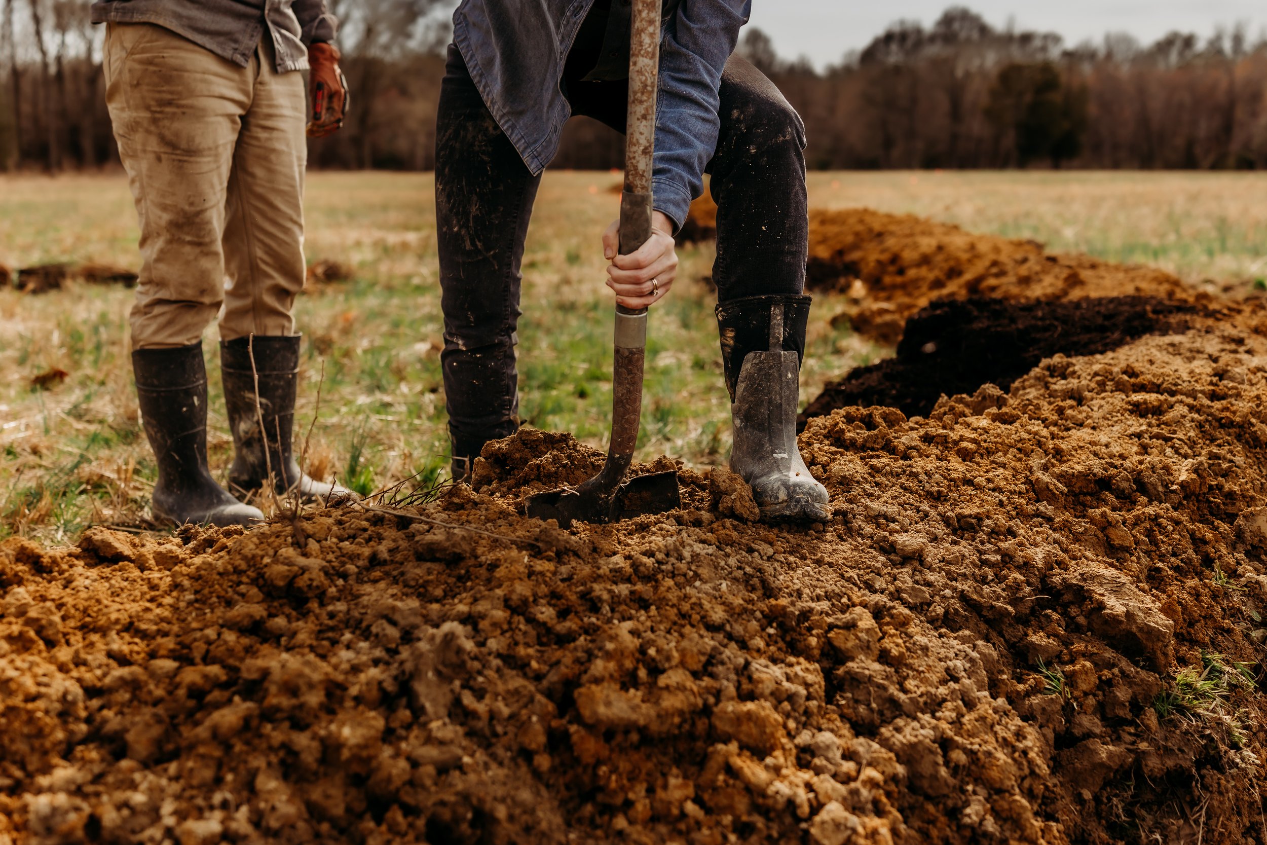 Contour Lines 29.jpg