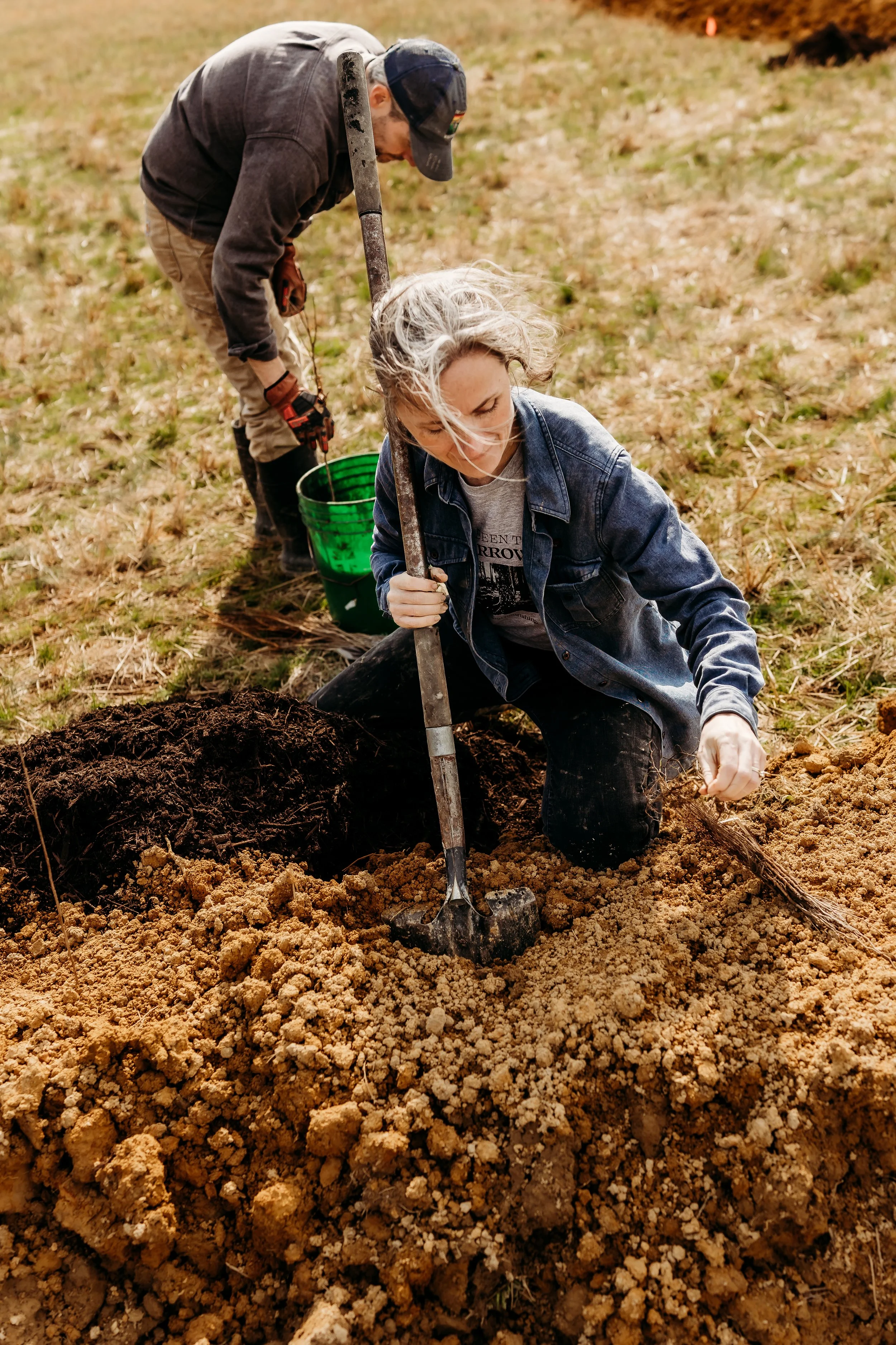 Contour Lines 35.jpg