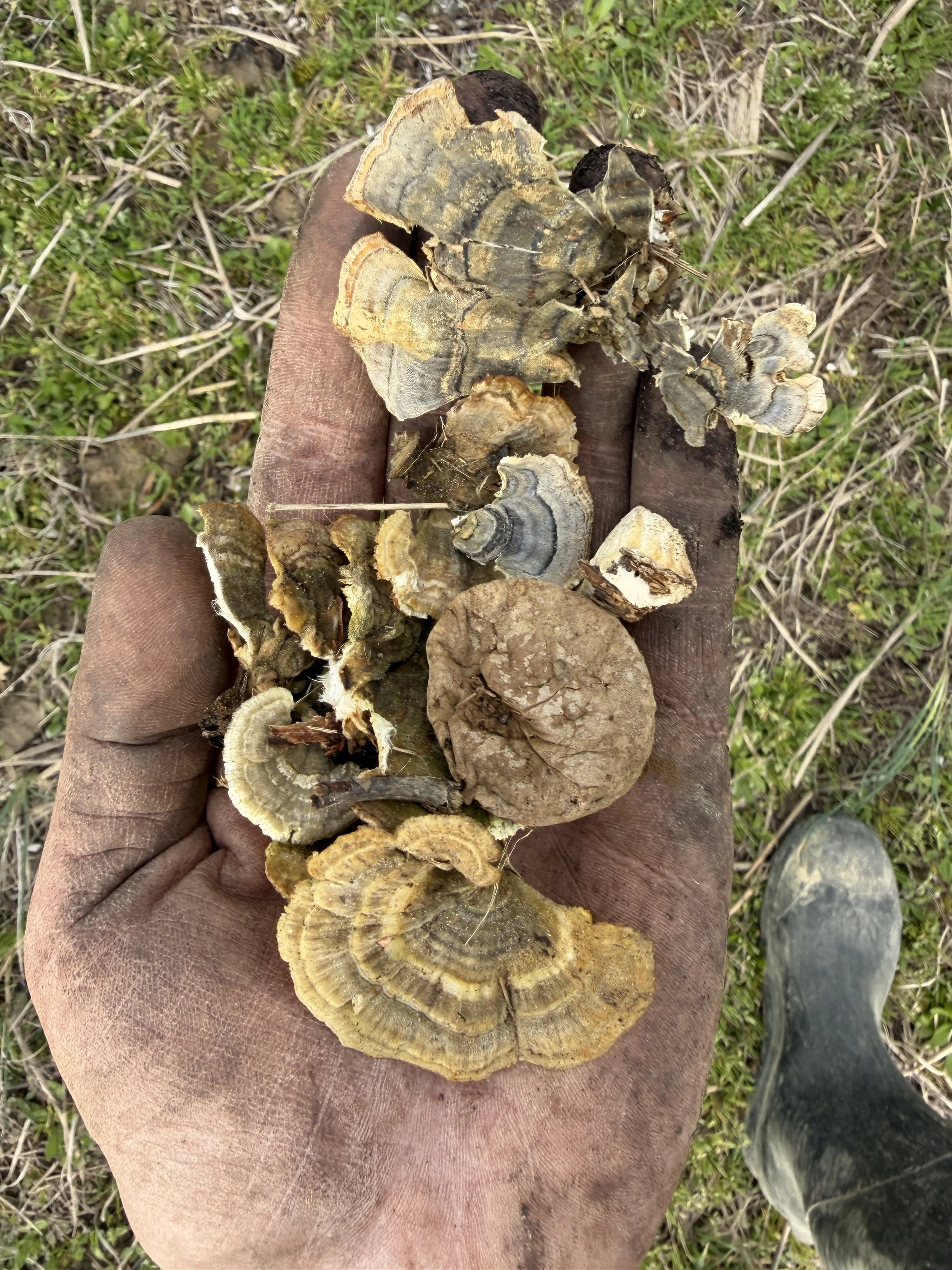 Contour Lines 39.JPG