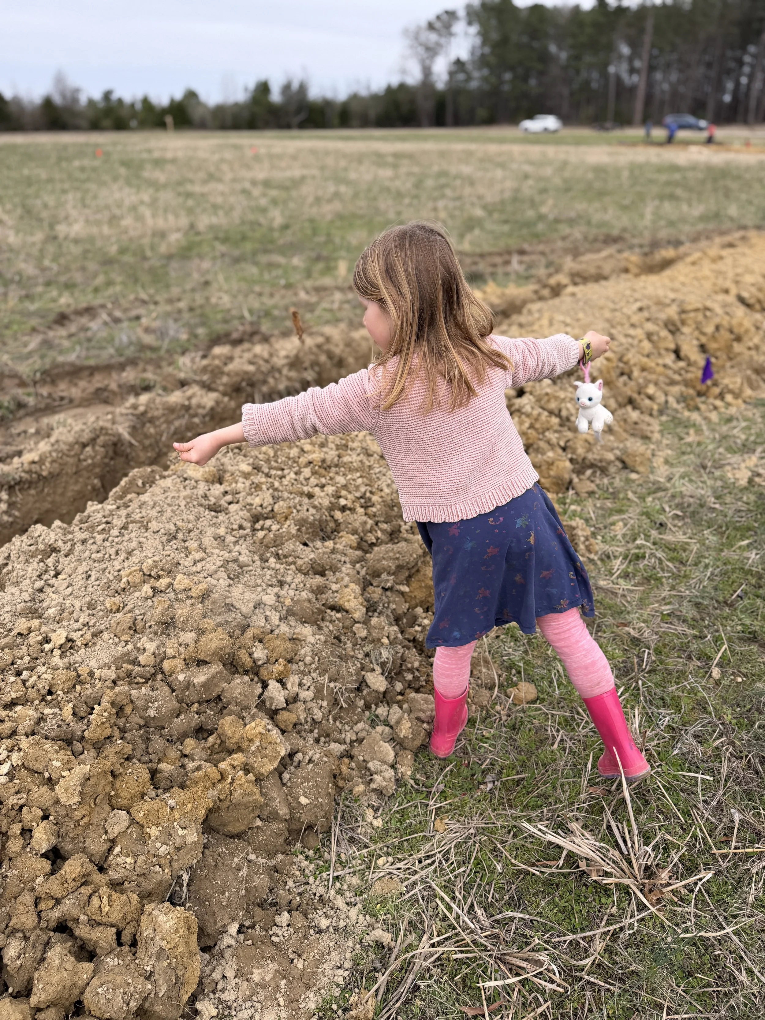 Contour Lines 42.jpg