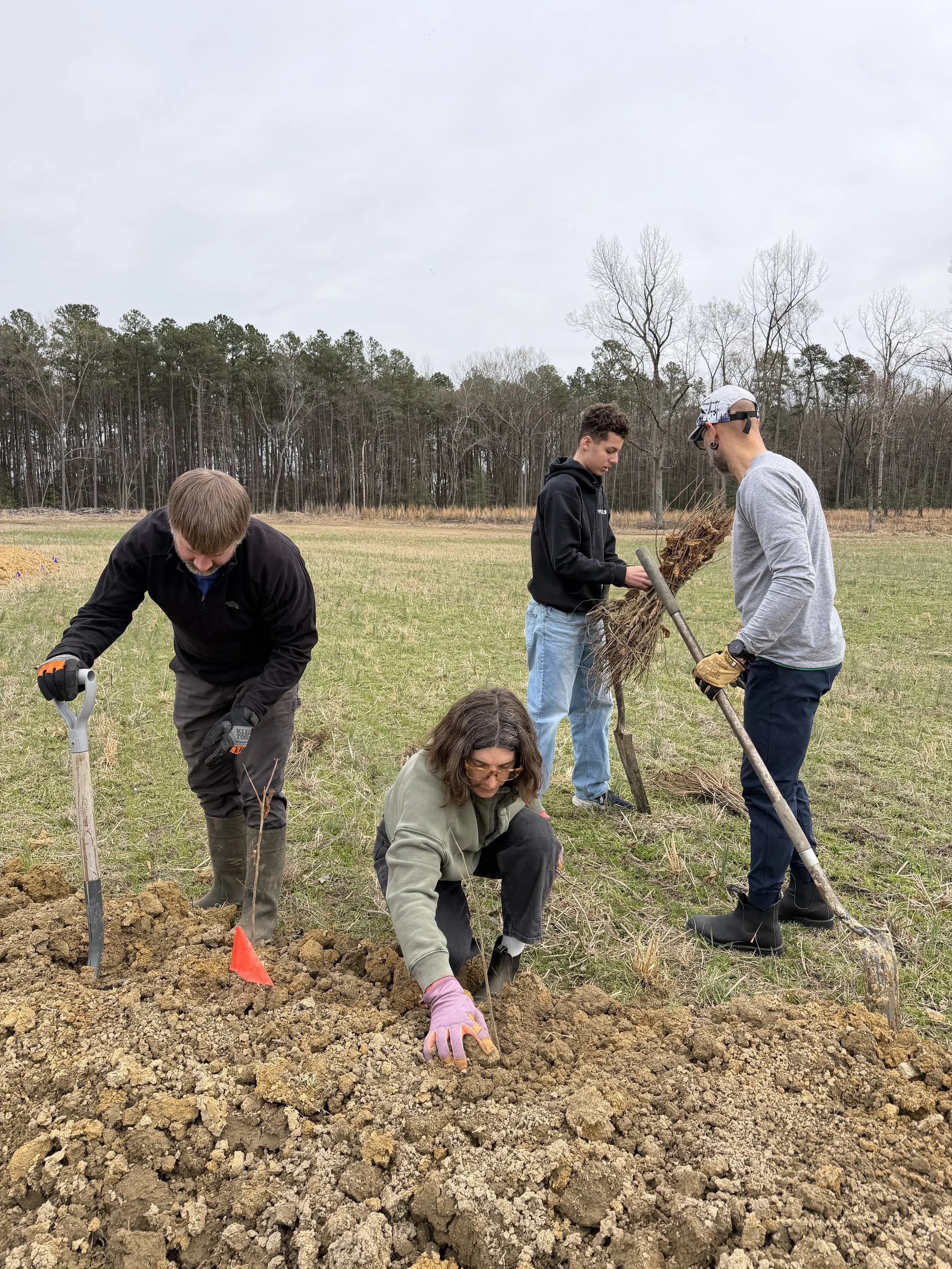 Contour Lines 41.JPG