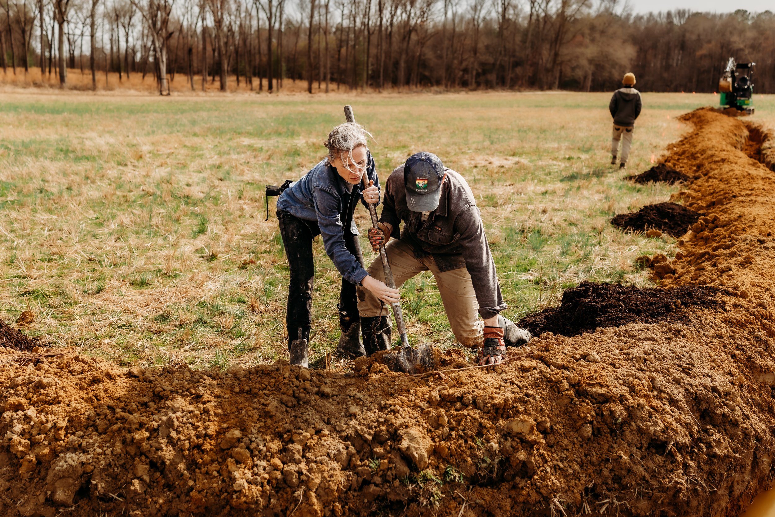 Contour Lines 36.jpg