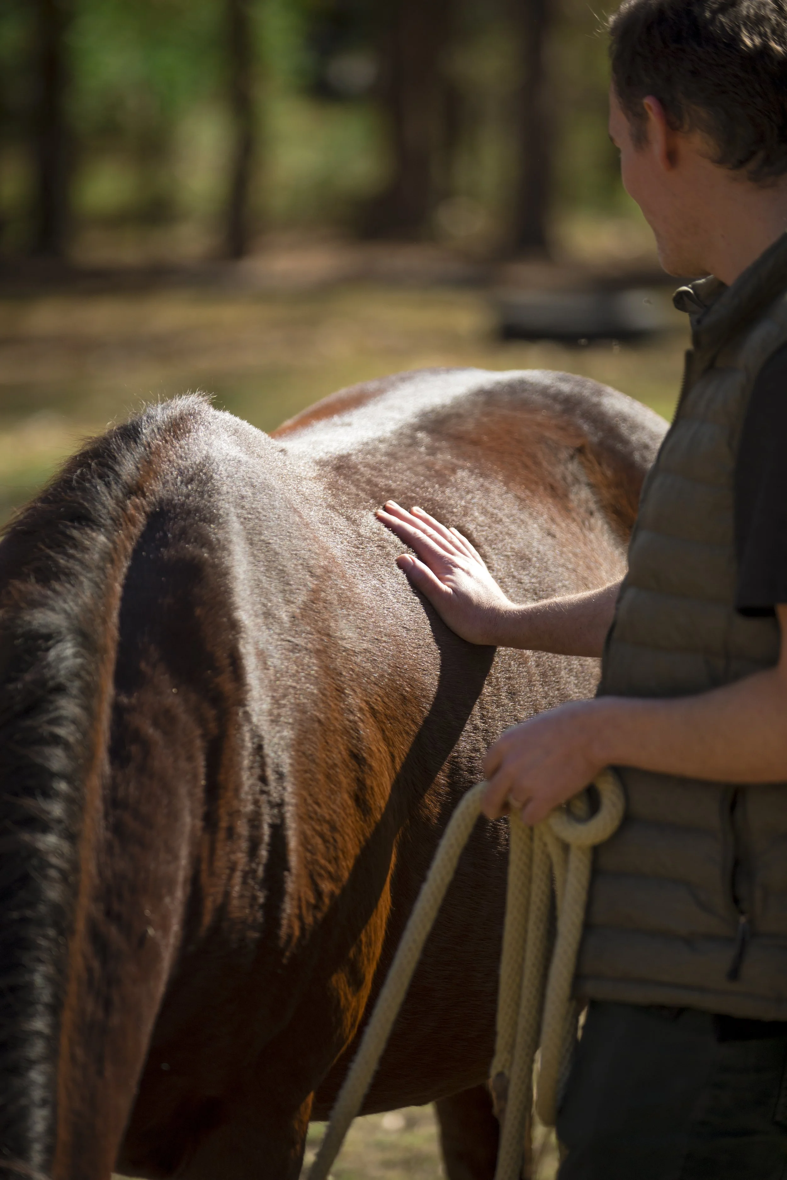 Field Days:  Team Like a Herd