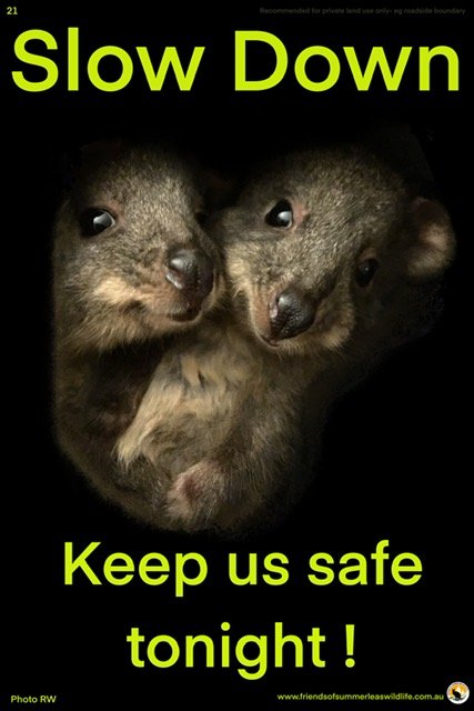 21- Slow Down! Keep us safe tonight