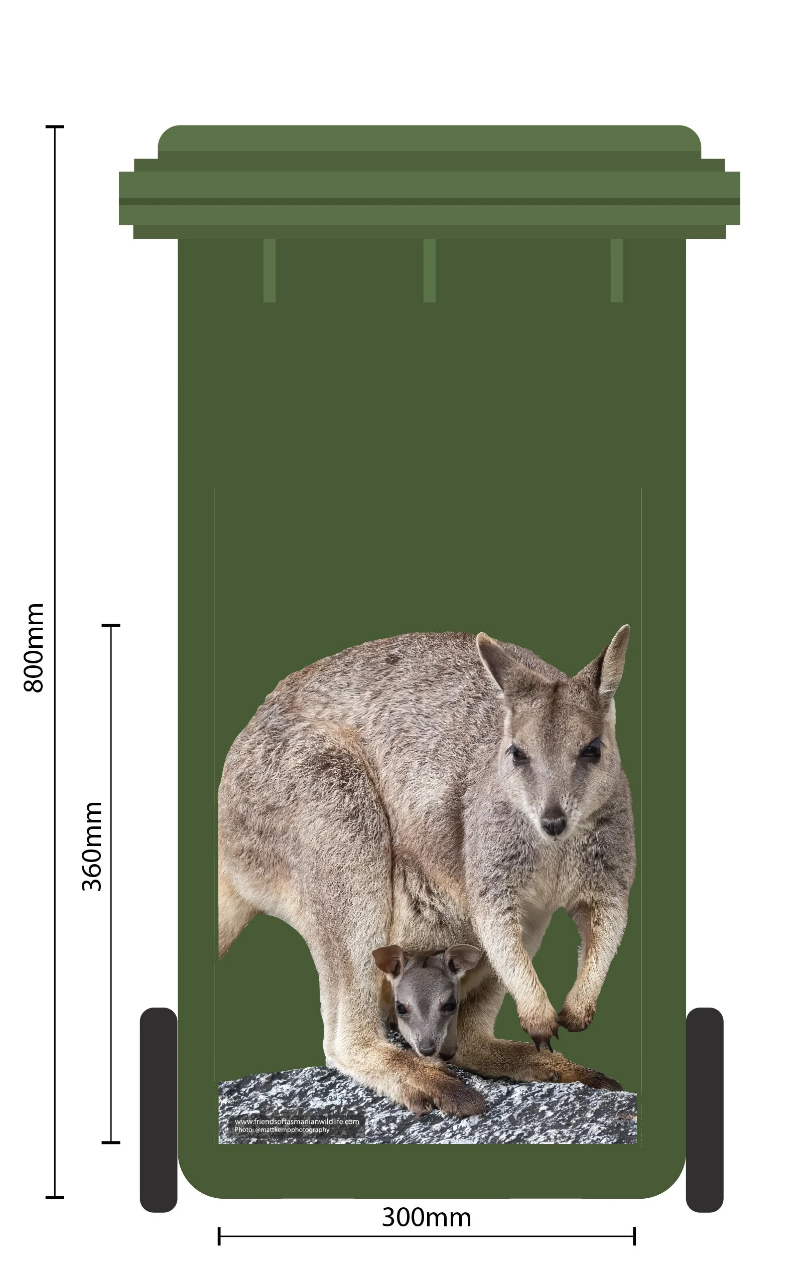 Rock_Wallaby_Bin Dimensions-01.jpg