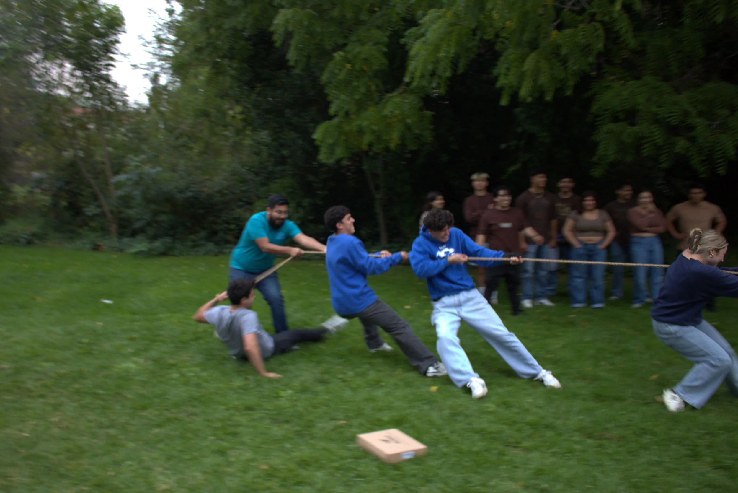 IMG_1523.jpg