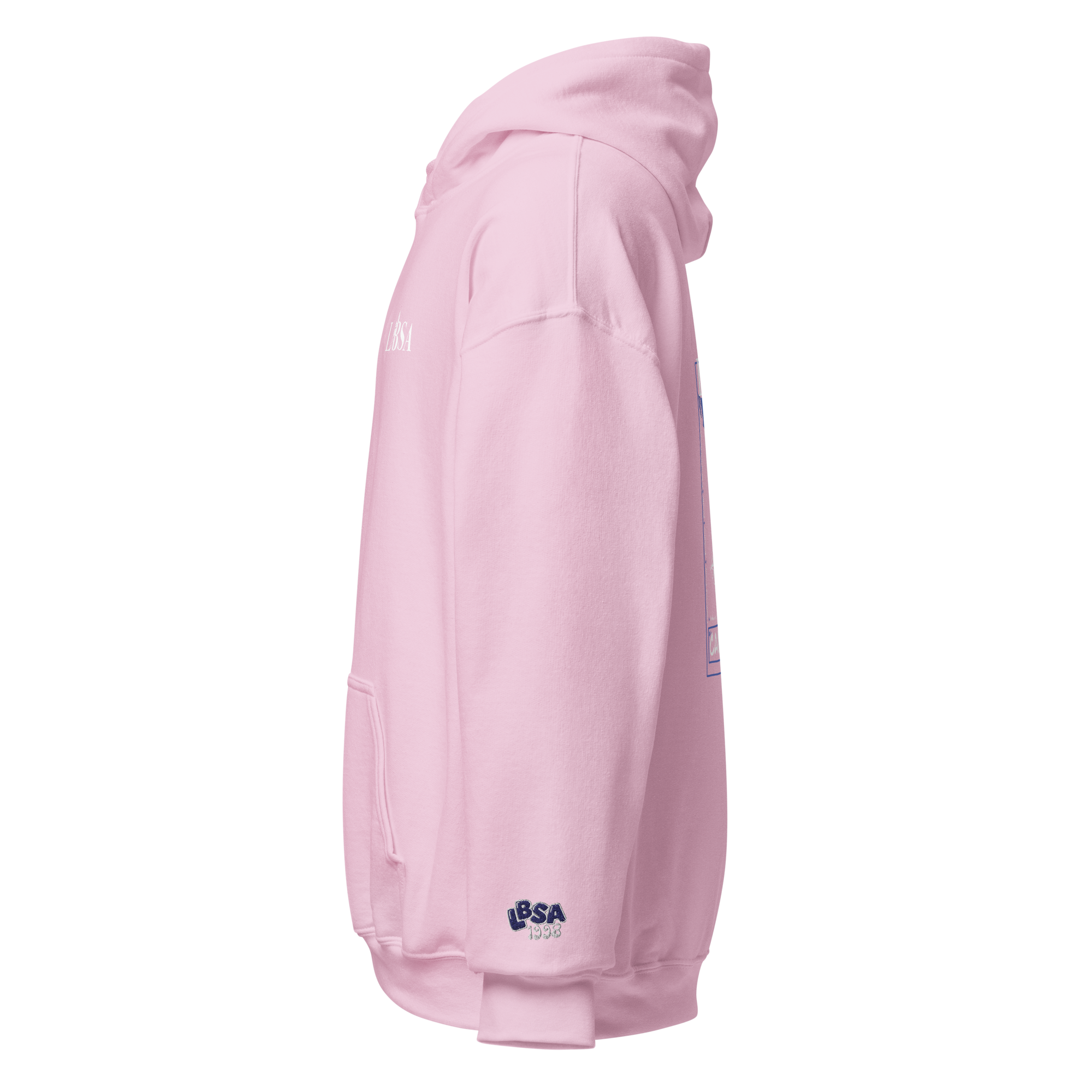 unisex-heavy-blend-hoodie-light-pink-left-69e1a9e616370.png
