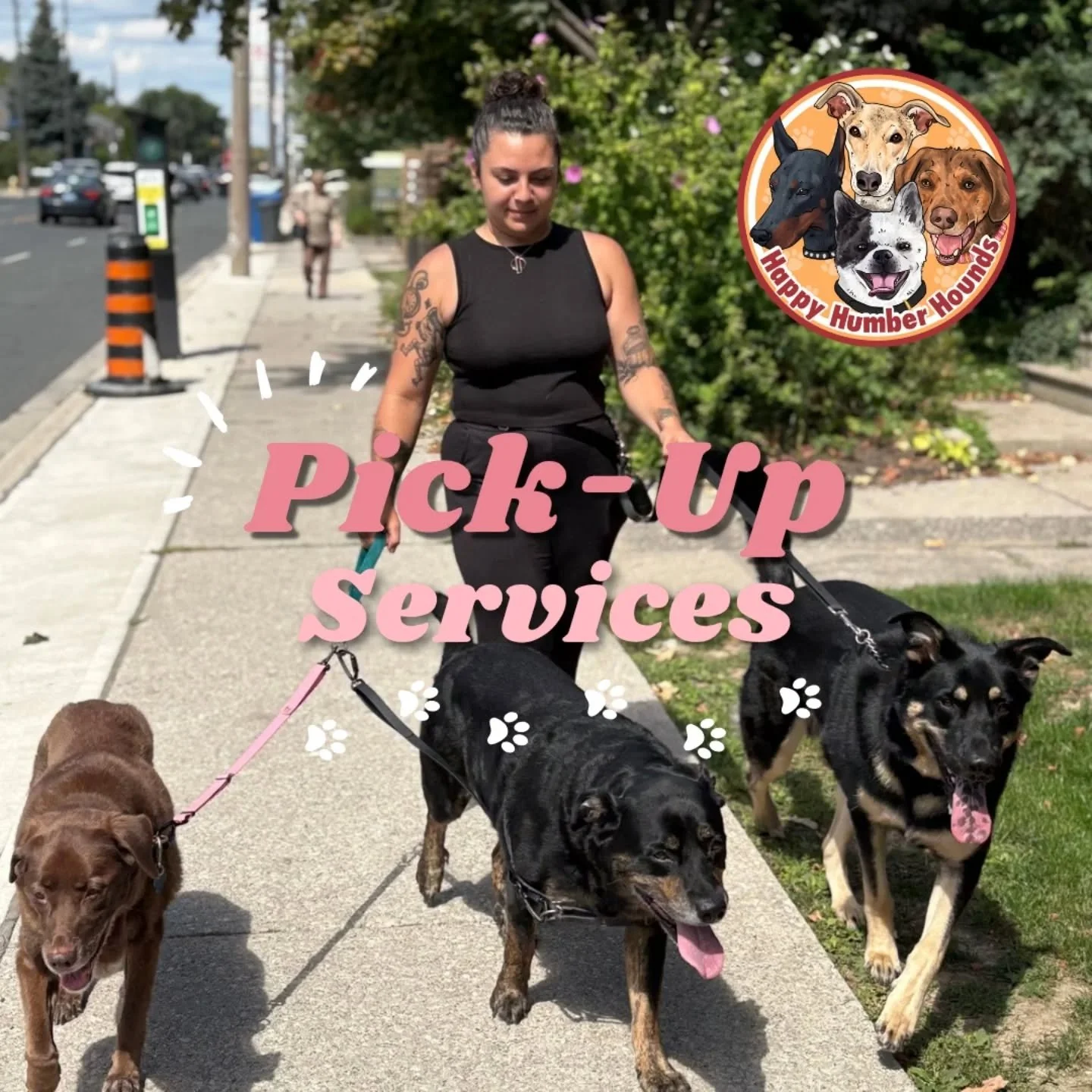 We are proud to introduce our new pick up and drop off service by Happy Humber Hounds!

Some of you may already know Charlene. She is a skilled pet care provider who we have known since we first opened our doors in 2024. She performs personalized and