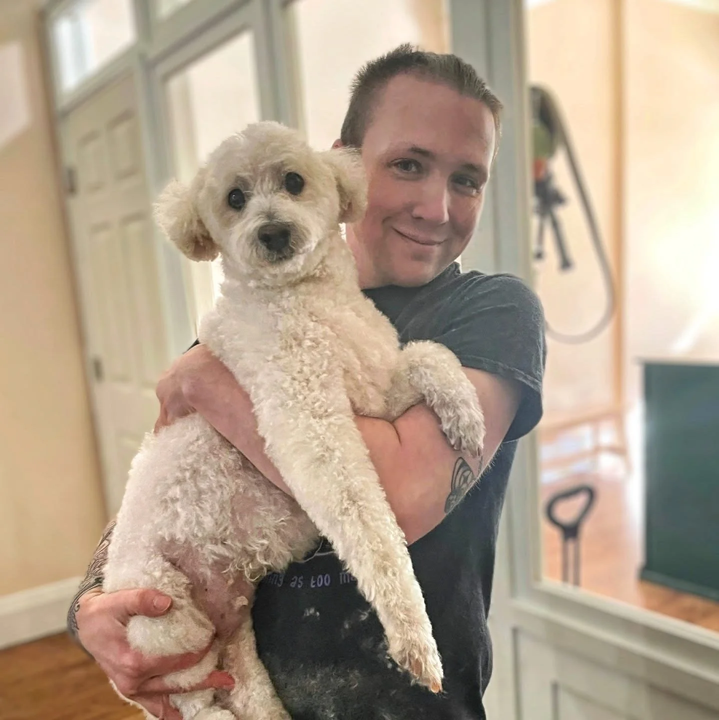 Our owner David is very passionate about grooming senior dogs and would love to help keep your furry friend clean and healthy through their golden years.

Senior dogs are a complex population to work with and it is common for them to be refused by gr