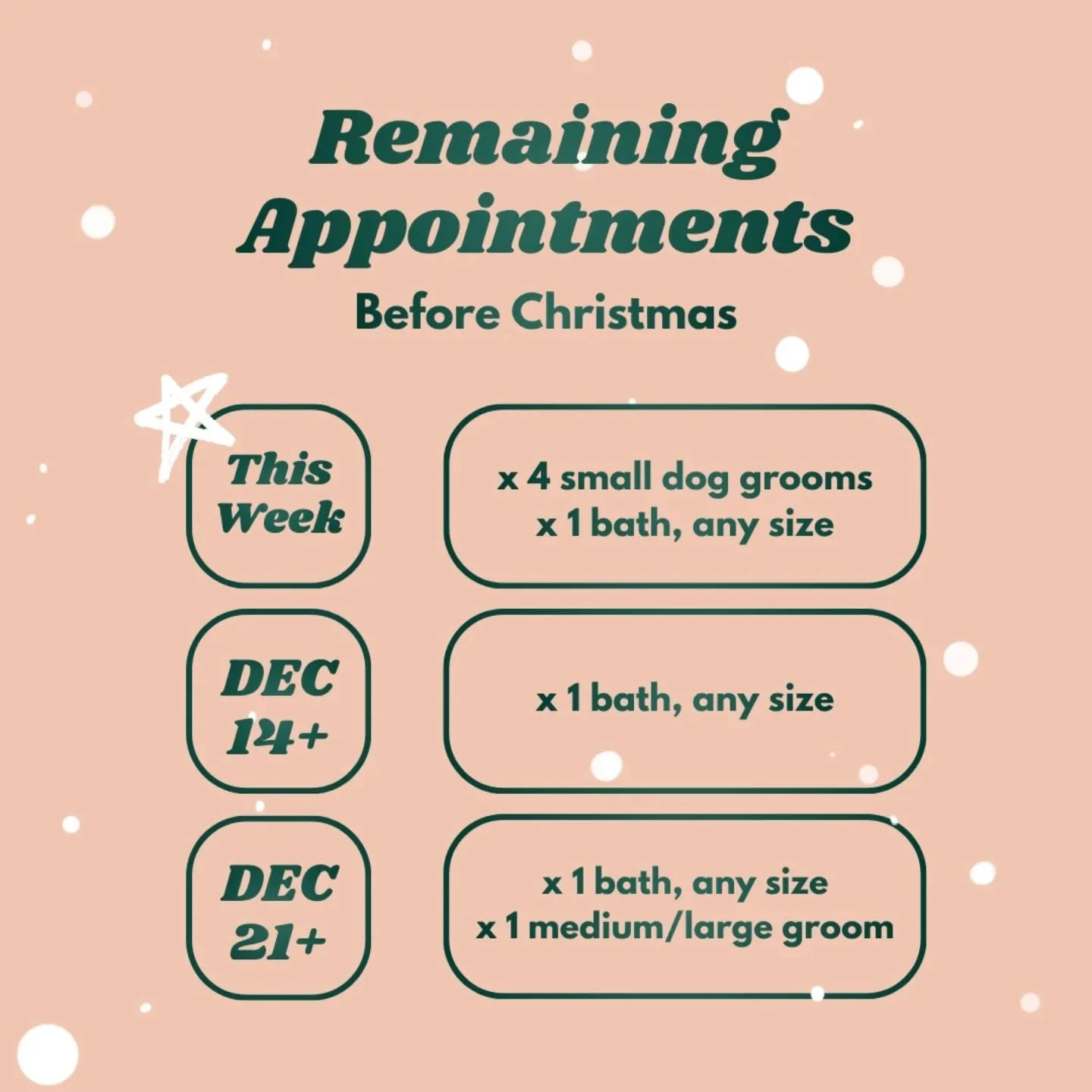 That's all, folks!

It's 15 days until Christmas and we have very few appointment slots left. 😱 With the exception of a couple openings for the little guys on Christmas Eve, this is all there is.

If you forgot to book, give us a shout and we may be