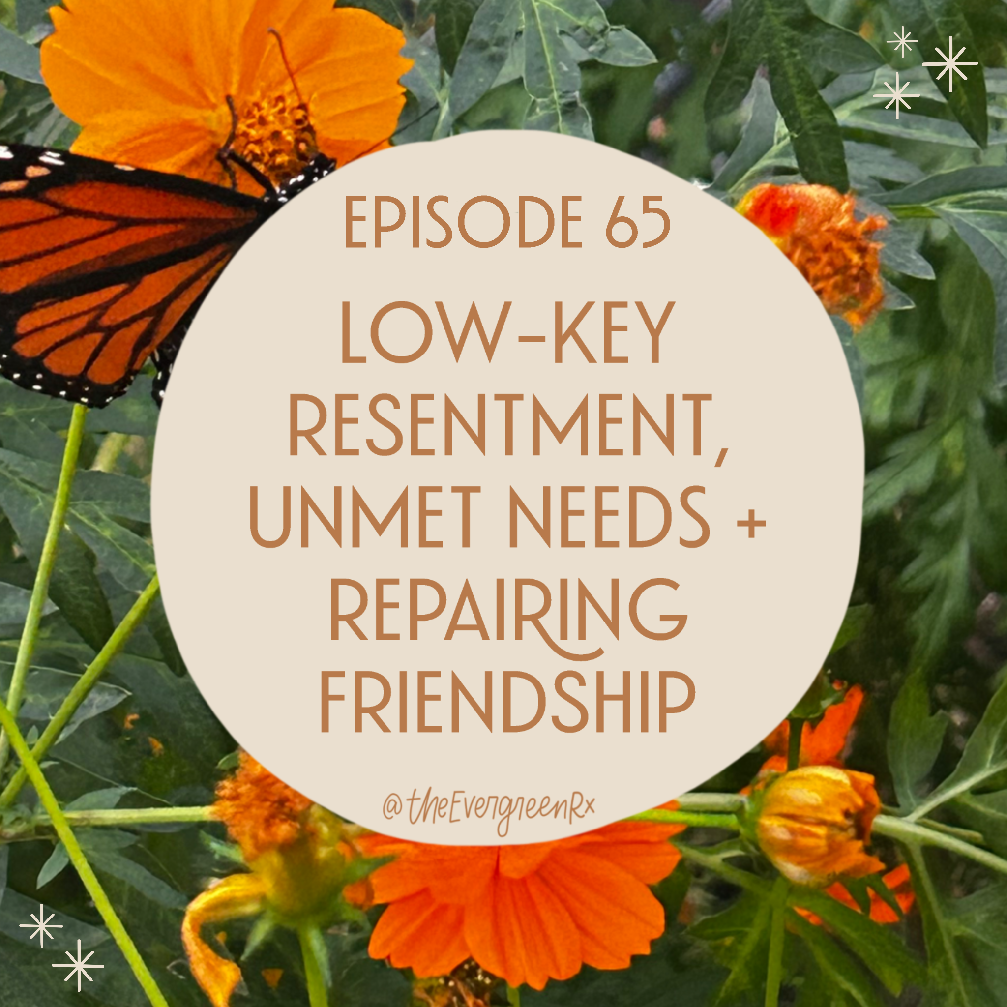 Ep 65  Low-key resentment, unmet needs + repairing friendship