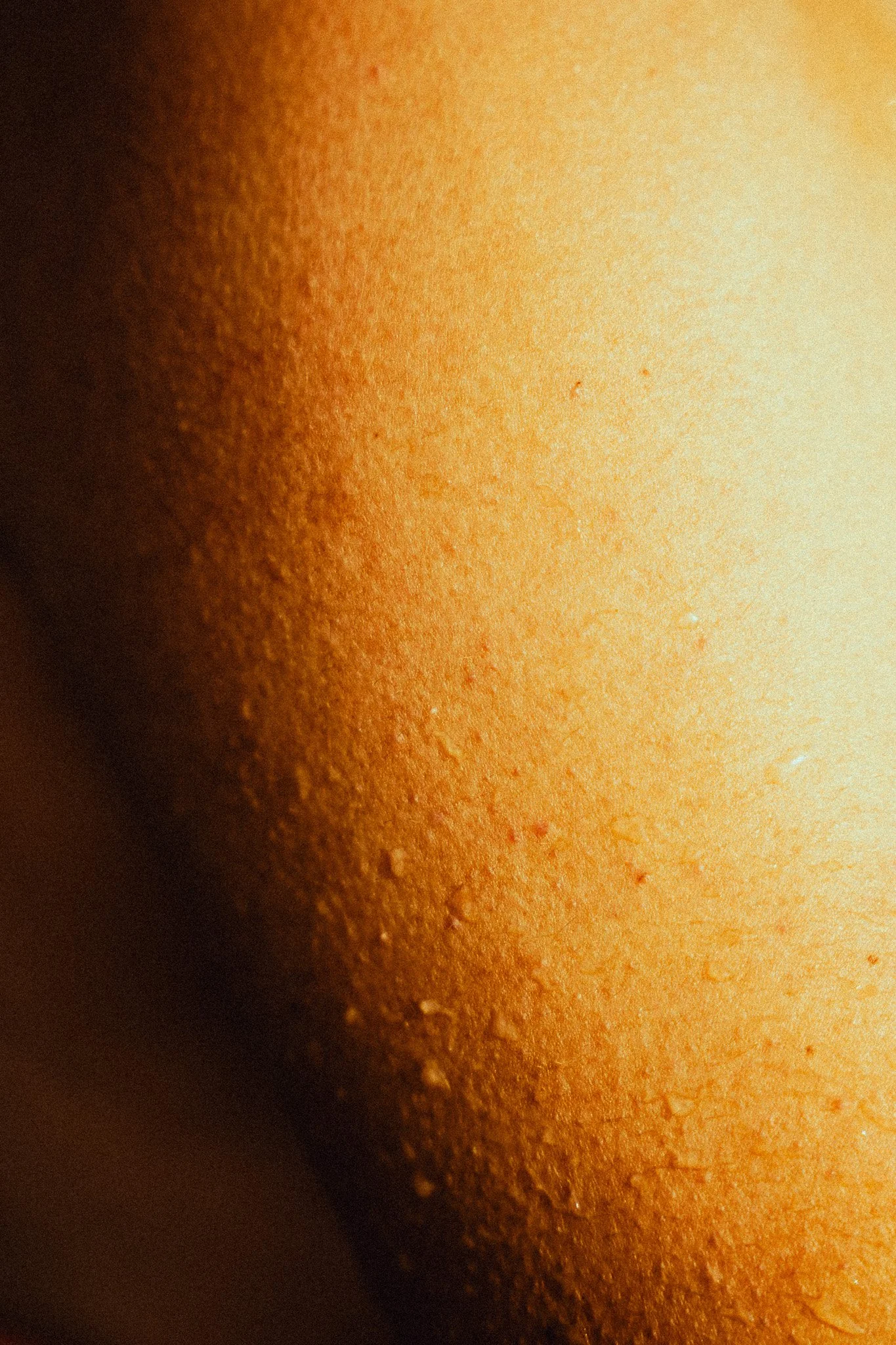 DSC06627.jpg