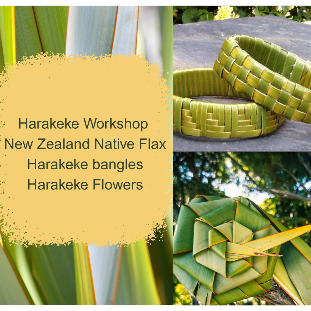 Whare Tapere — Splore Festival