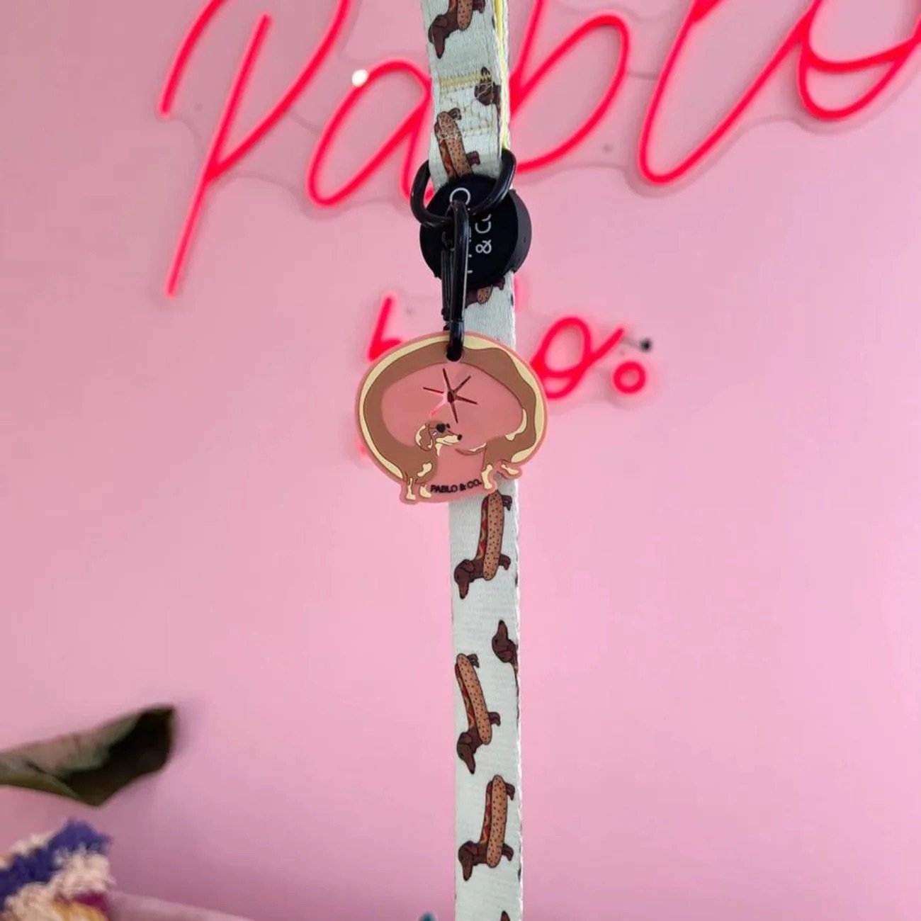 dachshund-doo-doo-holder-983409.jpeg